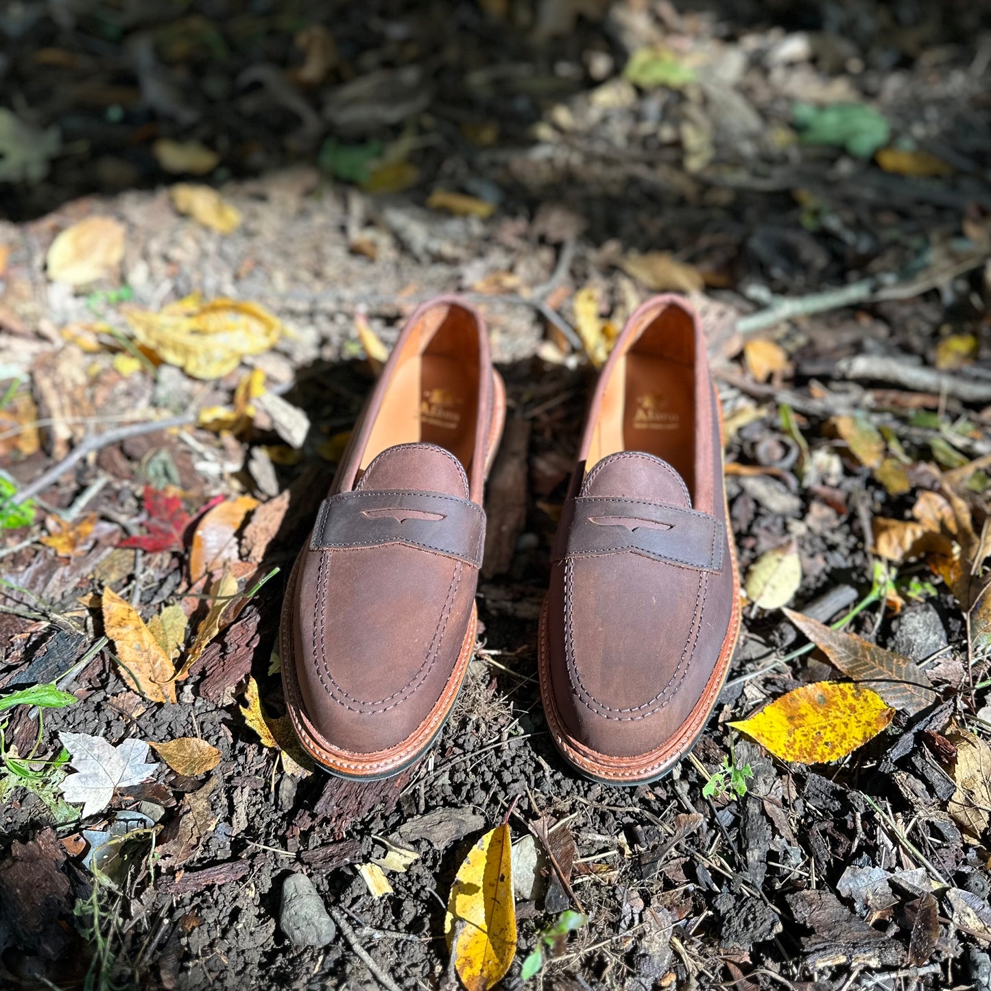 The D2216L - Alden Madison Smooth Tobacco Chamois Penny Loafers sit on the ground amidst yellow, orange, and brown leaves in an autumn setting, with sunlight filtering through the foliage.