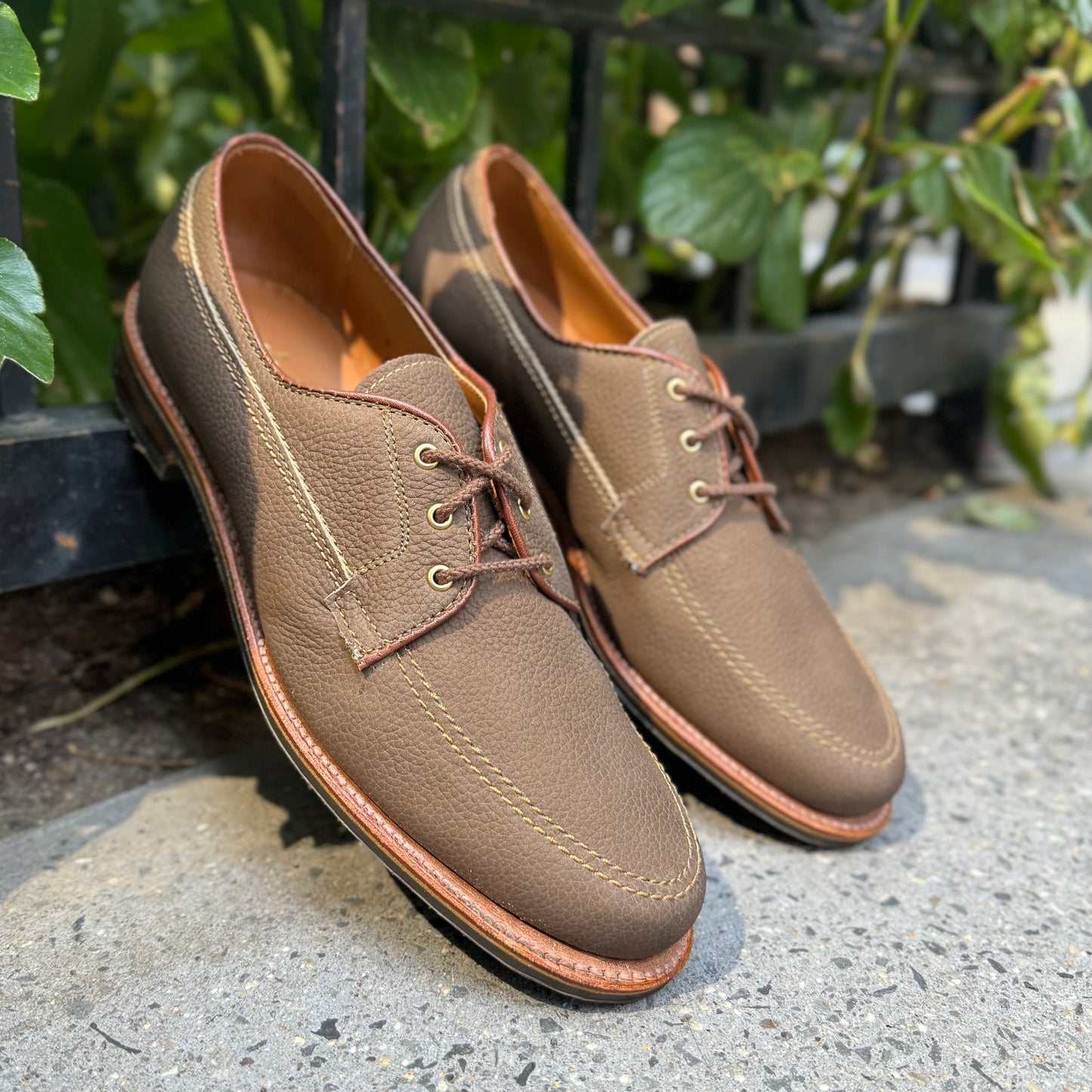 A pair of Alden Madison 7351 - Ivy Blucher Clay Nubuck lace-up shoes sits on a concrete sidewalk by green plants and a black metal fence.