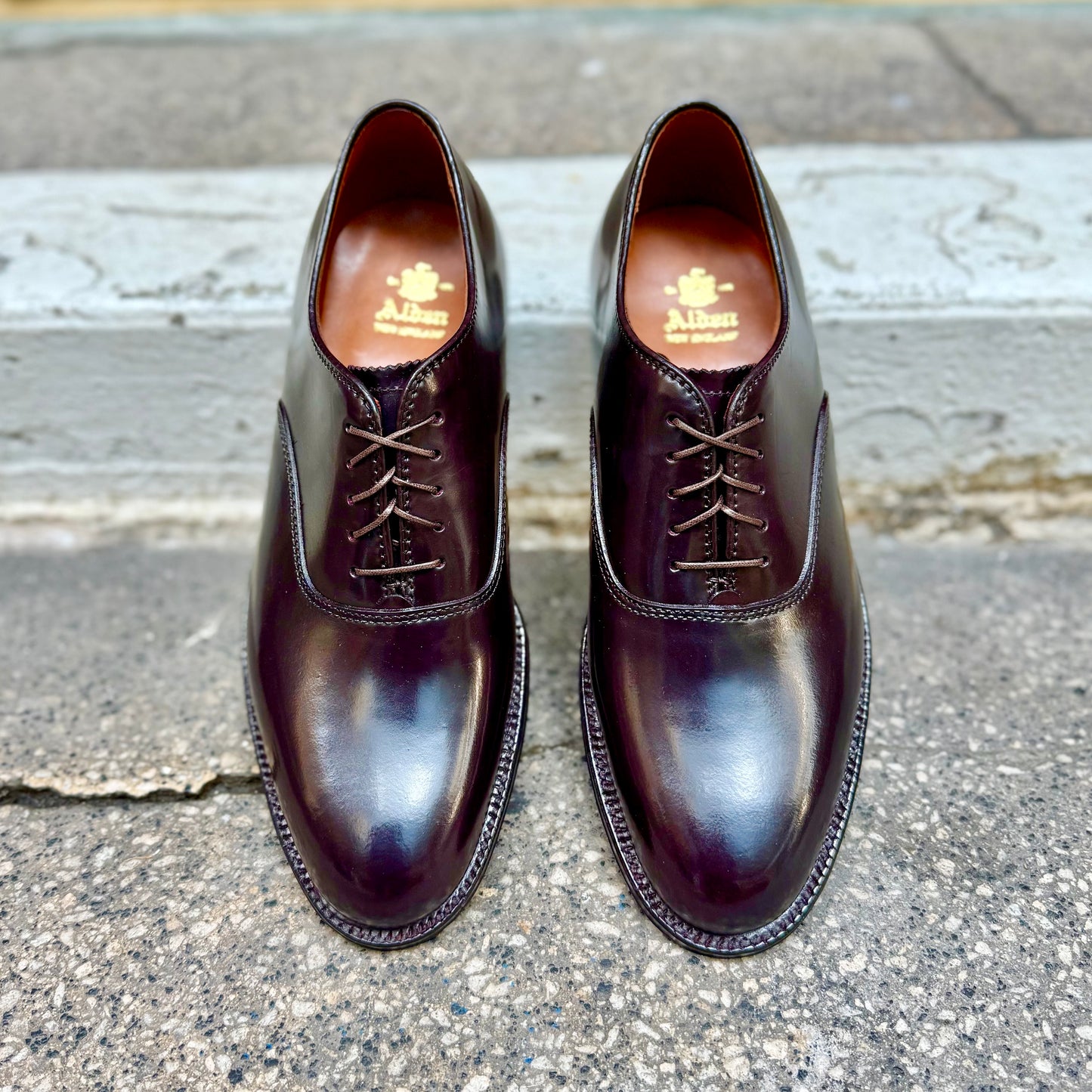 A pair of Alden Madison 934 - Plain Toe Bal dress shoes in Color 8 Shell Cordovan, displayed side by side on a concrete surface in front of a gray stone step.