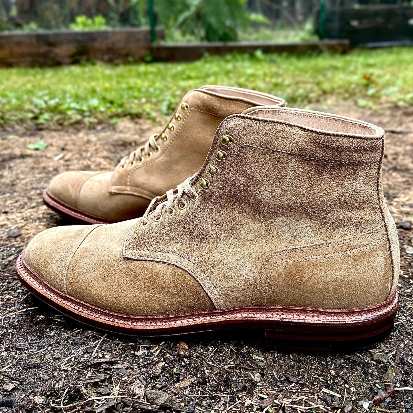 The Alden Madison D2685H - 2/2 Cap Toe Boot in Tan Suede, featuring laces and gold eyelets, is set on dirt surrounded by green grass with a blurred backdrop. These boots offer a rugged look ideal for adventure.