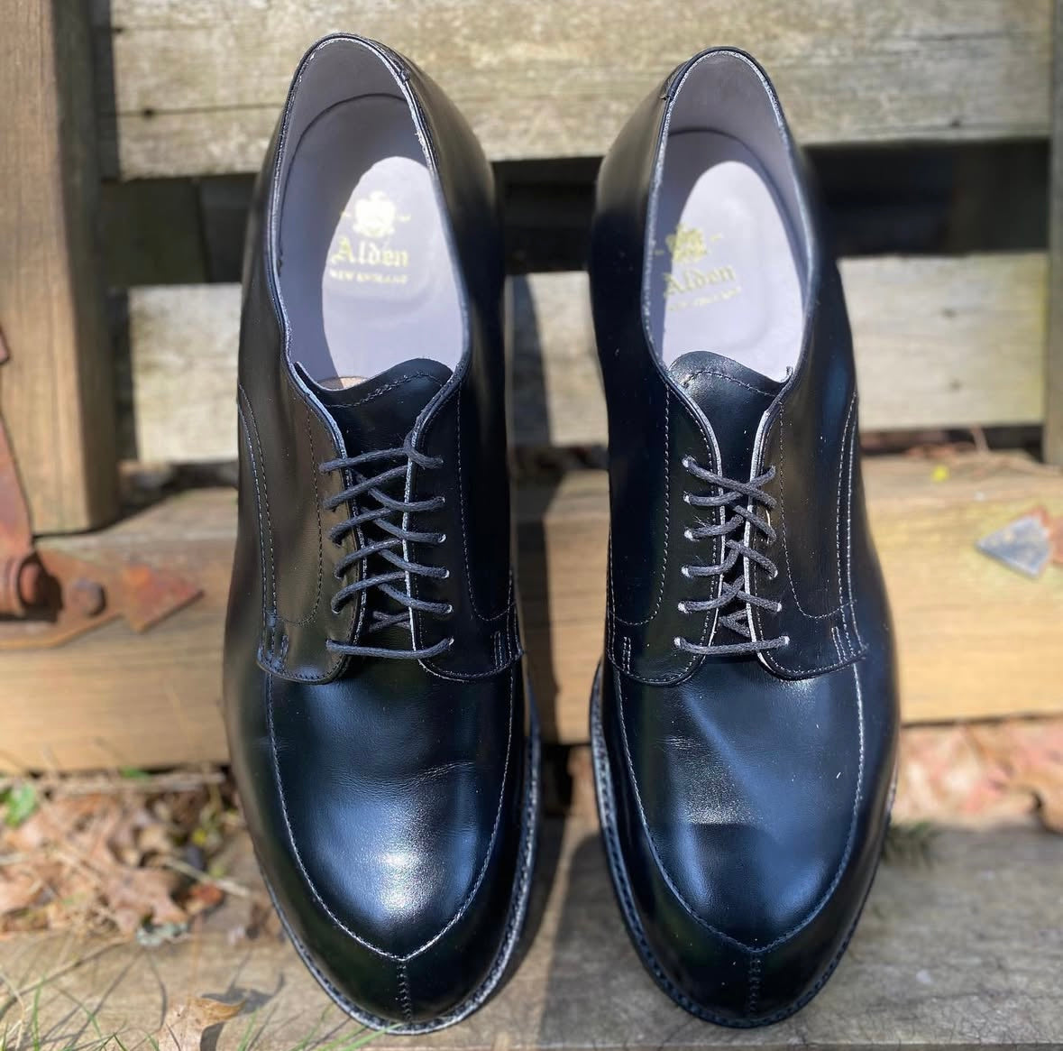ALDEN オールデン Vチップ 539 539 - Modified V-Tip in Black Calfskin – ALDEN SHOES