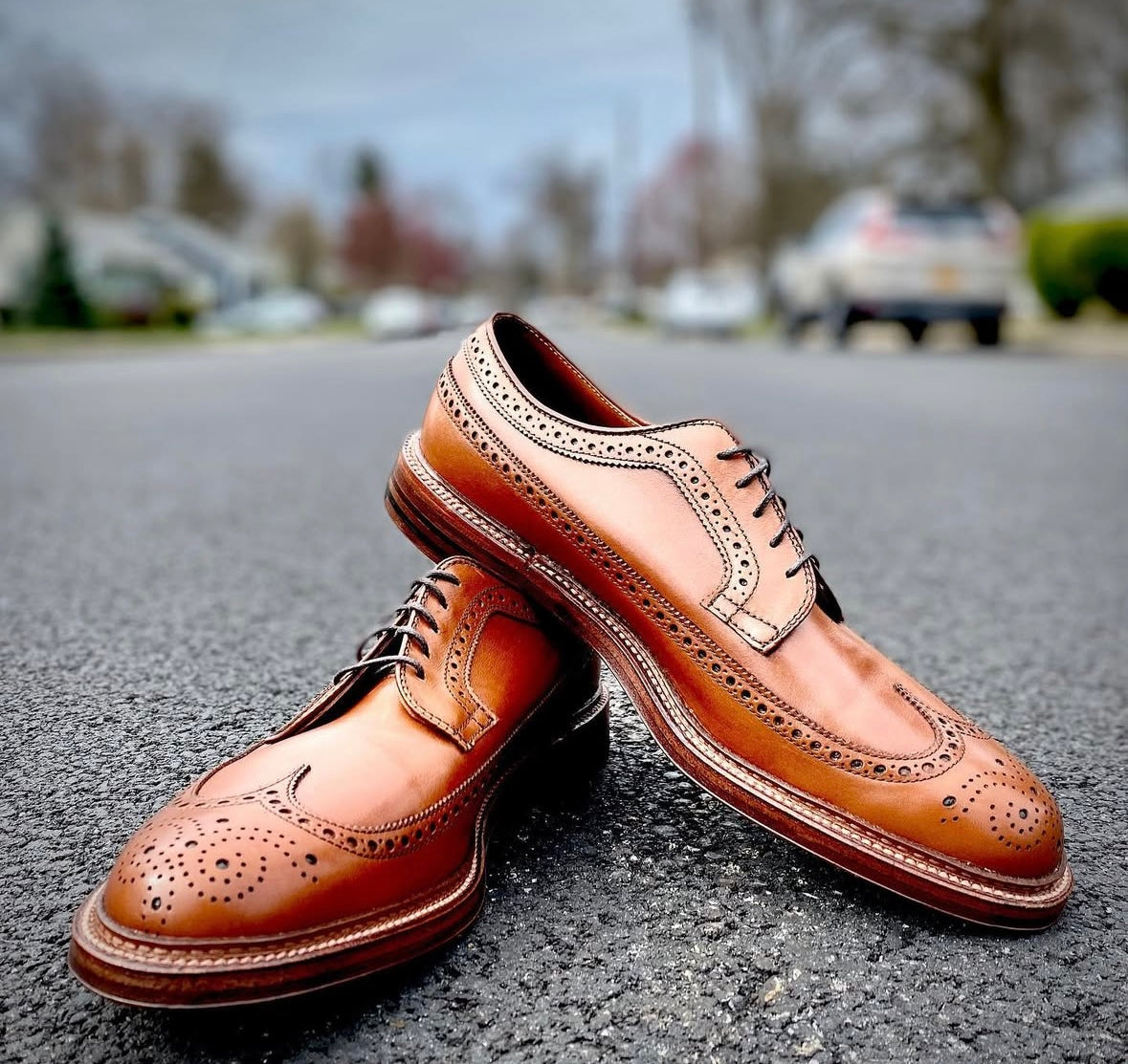 Alden Madisons 979 - Long Wing Blucher in Burnished Tan Calfskin, featuring detailed perforations and a Double Oak Leather Outsole, rests on an asphalt road with a blurred backdrop of trees, houses, and parked cars.