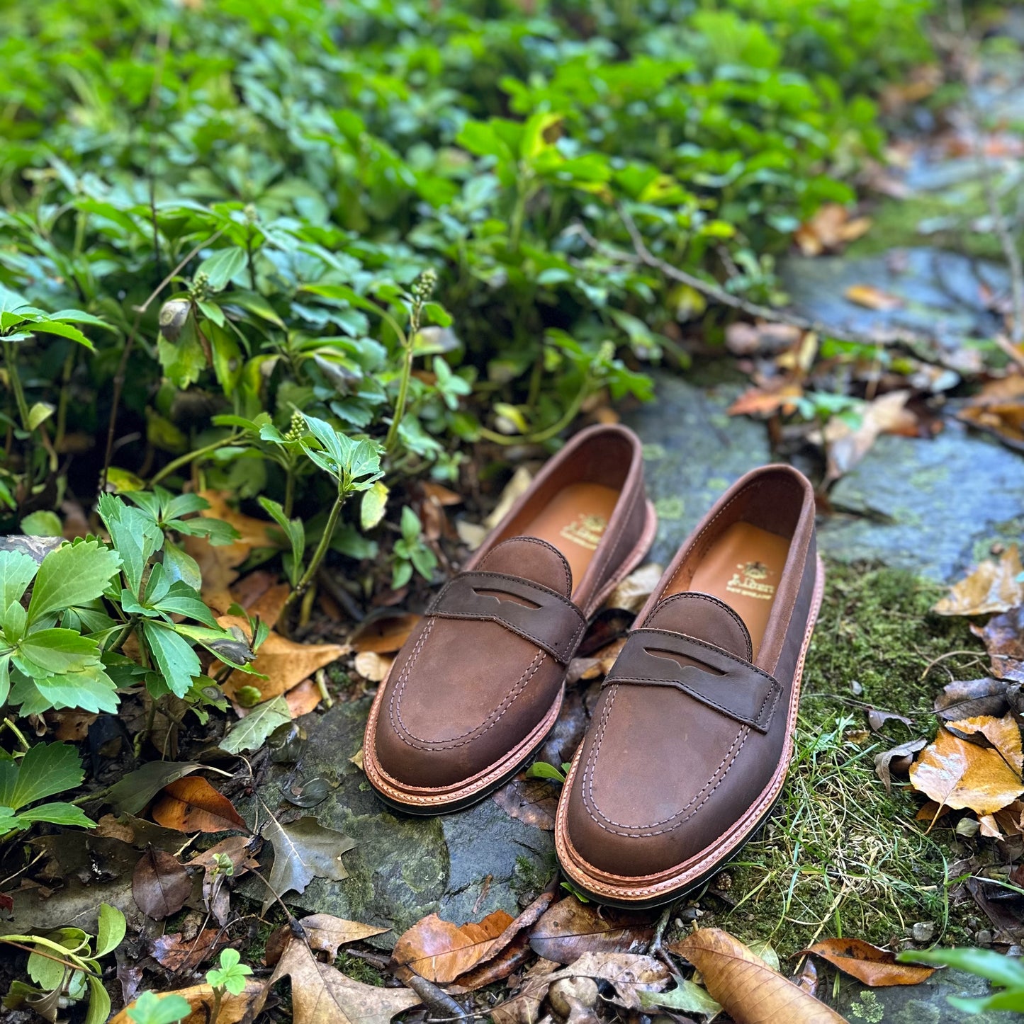 The Alden Madison D2216L Smooth Tobacco Chamois Penny Loafer is displayed on a stone path surrounded by green foliage and fallen leaves, creating a natural outdoor setting.