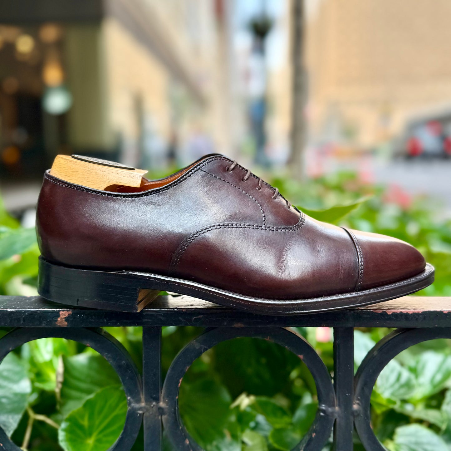 The Alden Madison 920 Cap Toe Bal in brown calfskin, shown on a black metal railing with a wooden shoe tree, features the Hampton Last and a single oak leather sole, set against green leaves and a blurred city street backdrop.
