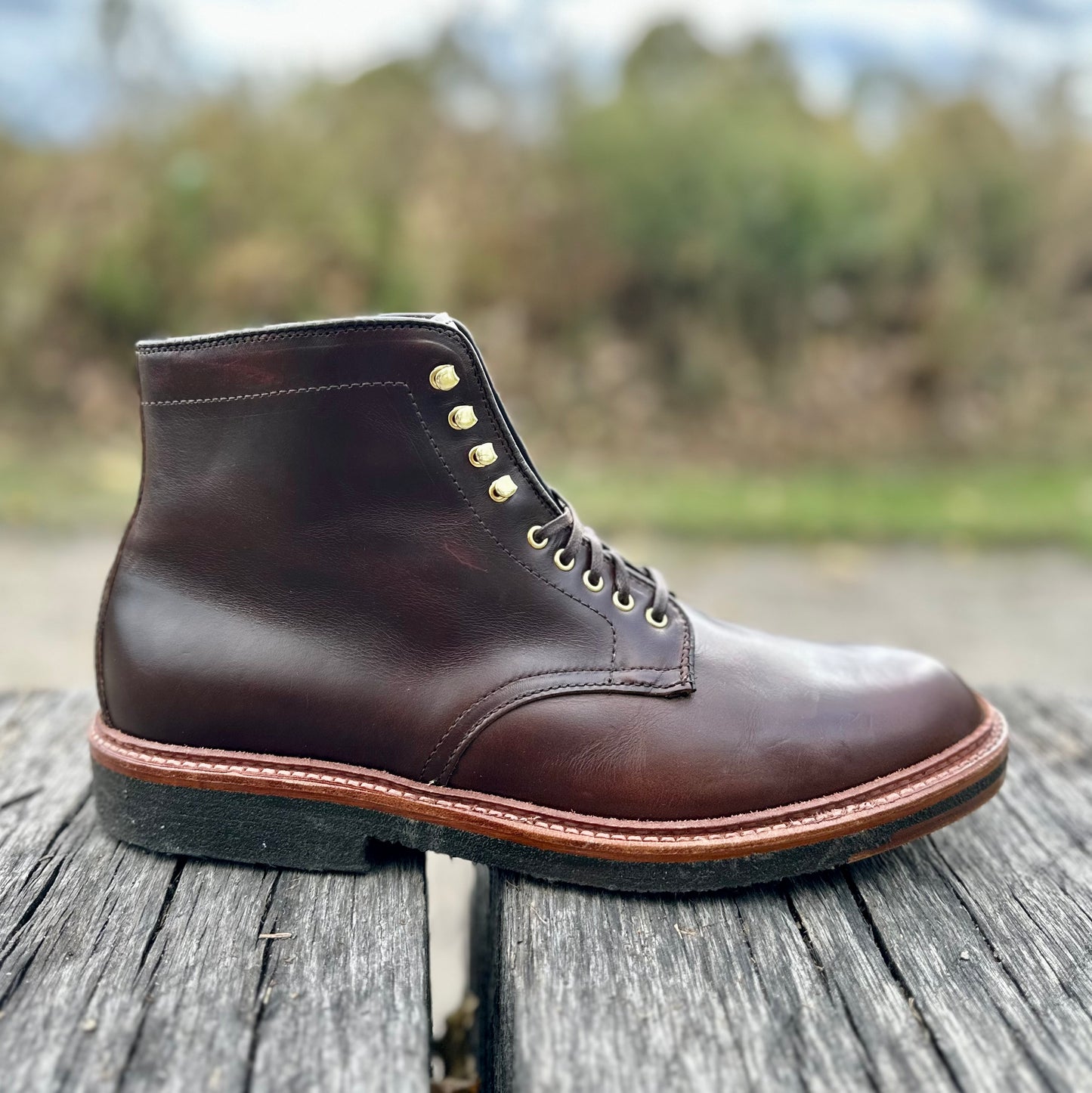 The Alden Madison D1848H Plain Toe Boot in Brown Chromexcel, featuring gold eyelets and a black sole, sits on a weathered wooden surface outdoors with blurred greenery in the background.