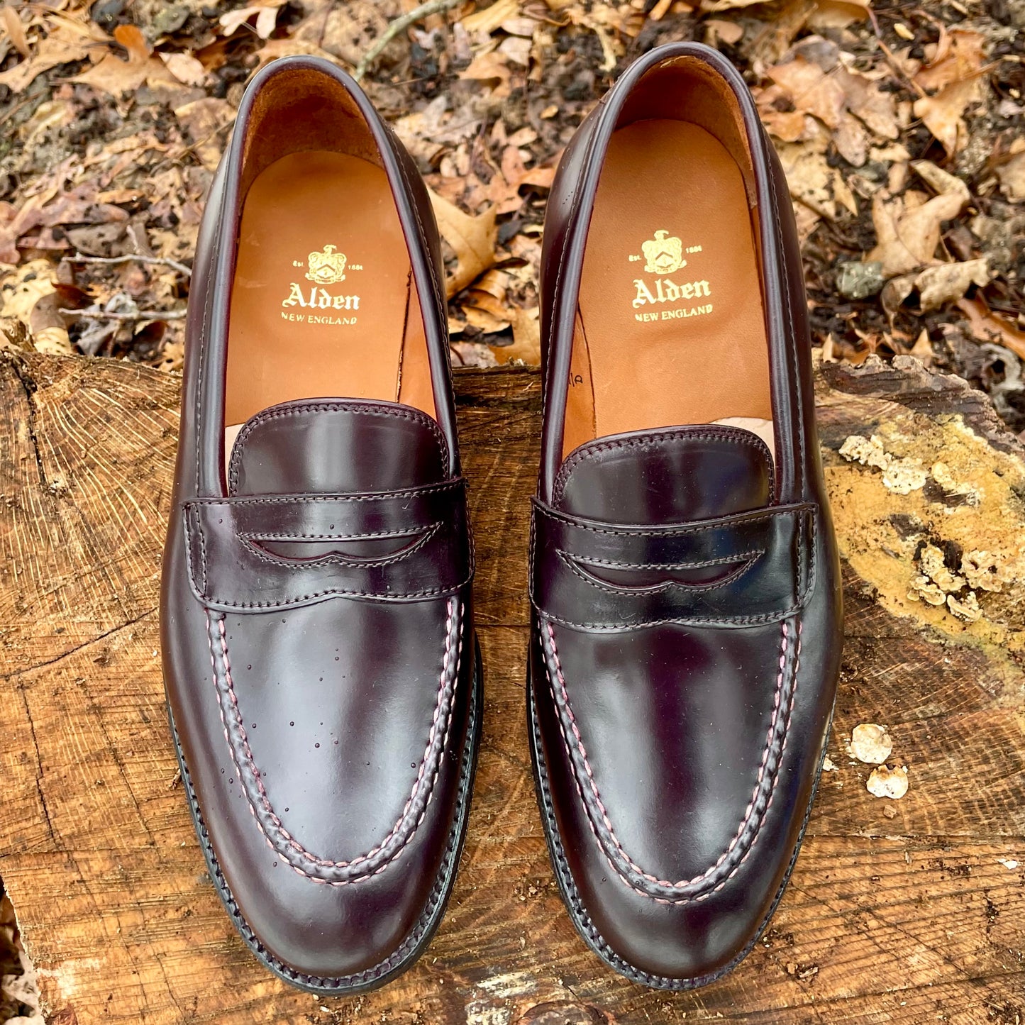 A pair of Alden Madisons 67169 - High Vamp Loafers in Color 8 Shell, crafted from luxurious Shell Cordovan, are displayed on a textured wooden surface with fallen leaves. They feature a classic design with visible stitching and an Alden logo printed on the insole.