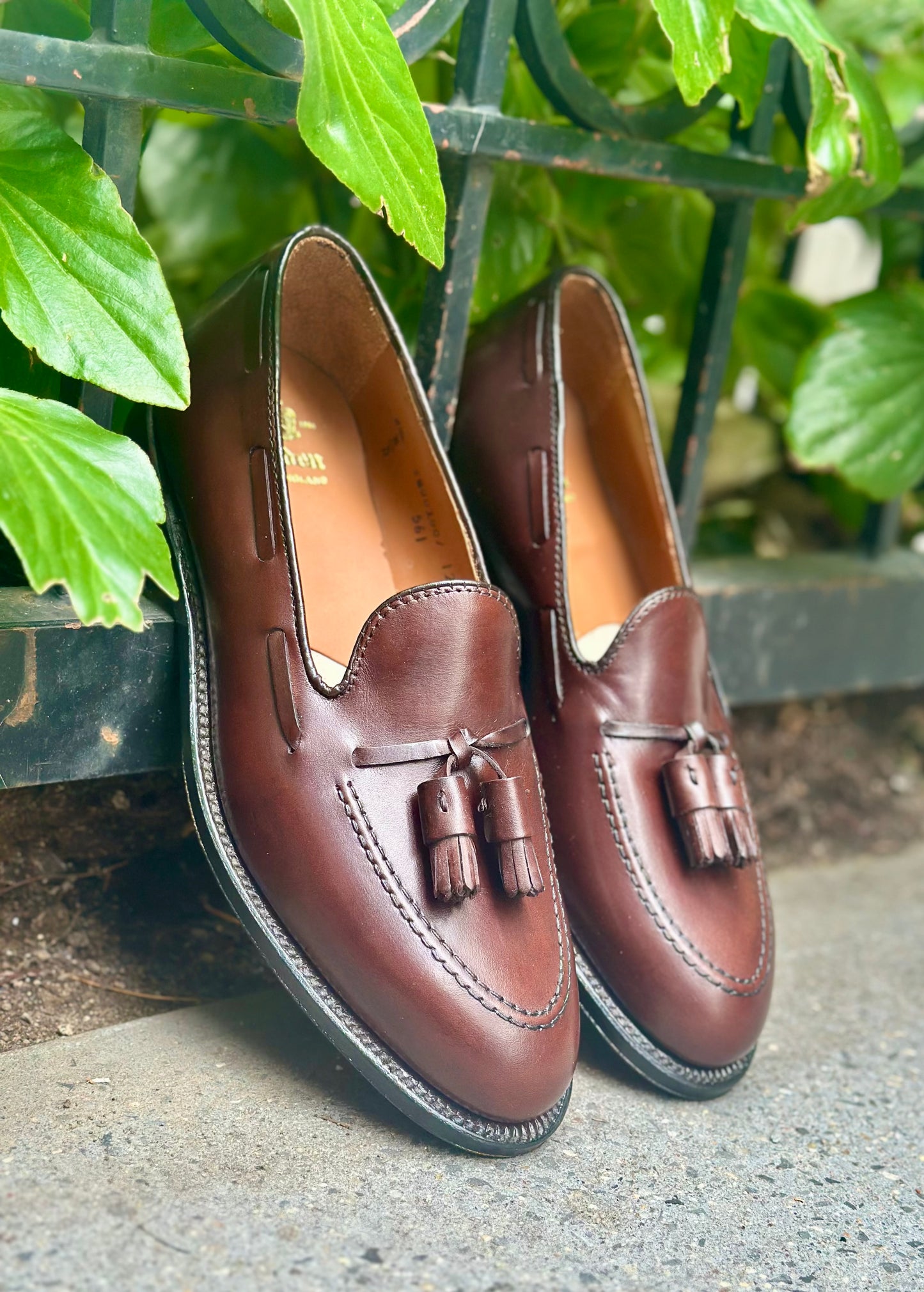 The Alden Madison 561 - Tassel Loafer in Brown Calfskin, featuring a leather sole, is displayed outdoors on a sidewalk beside green plants and a metal fence.
