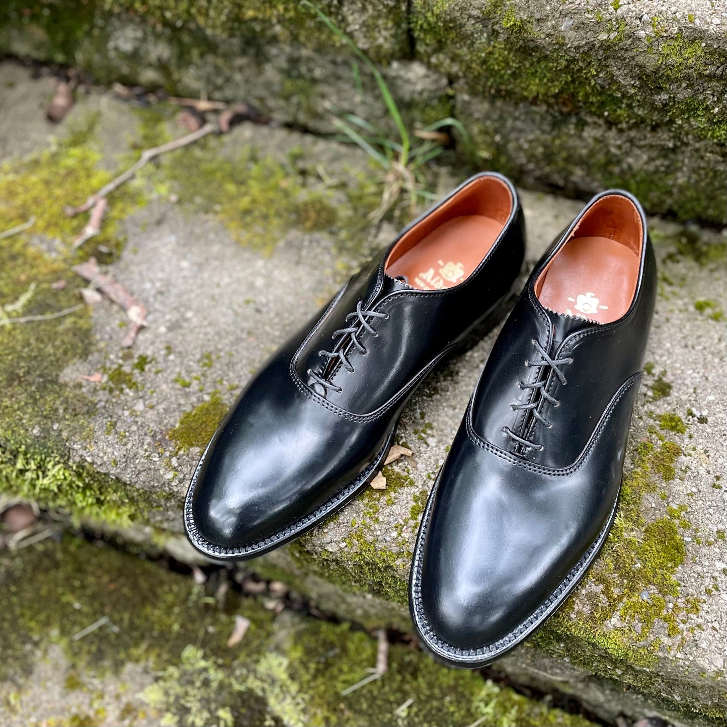 A pair of Alden Madison 9341 - Plain Toe Bal shoes in exquisite Black Shell Cordovan, featuring brown interiors and an Aberdeen last design, rests on moss-covered stone steps outdoors with neatly tied laces as grass peeks through the steps.
