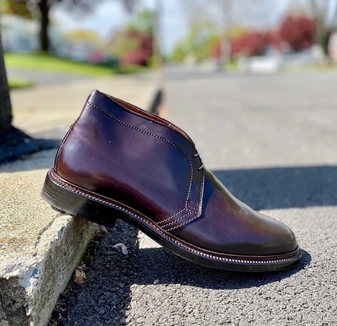 The Alden Madison 1339 Chukka Boot in Color 8 Shell Cordovan, crafted on the Barrie Last, is shown at an angle on a sunlit curb with blurred trees and greenery in the background.