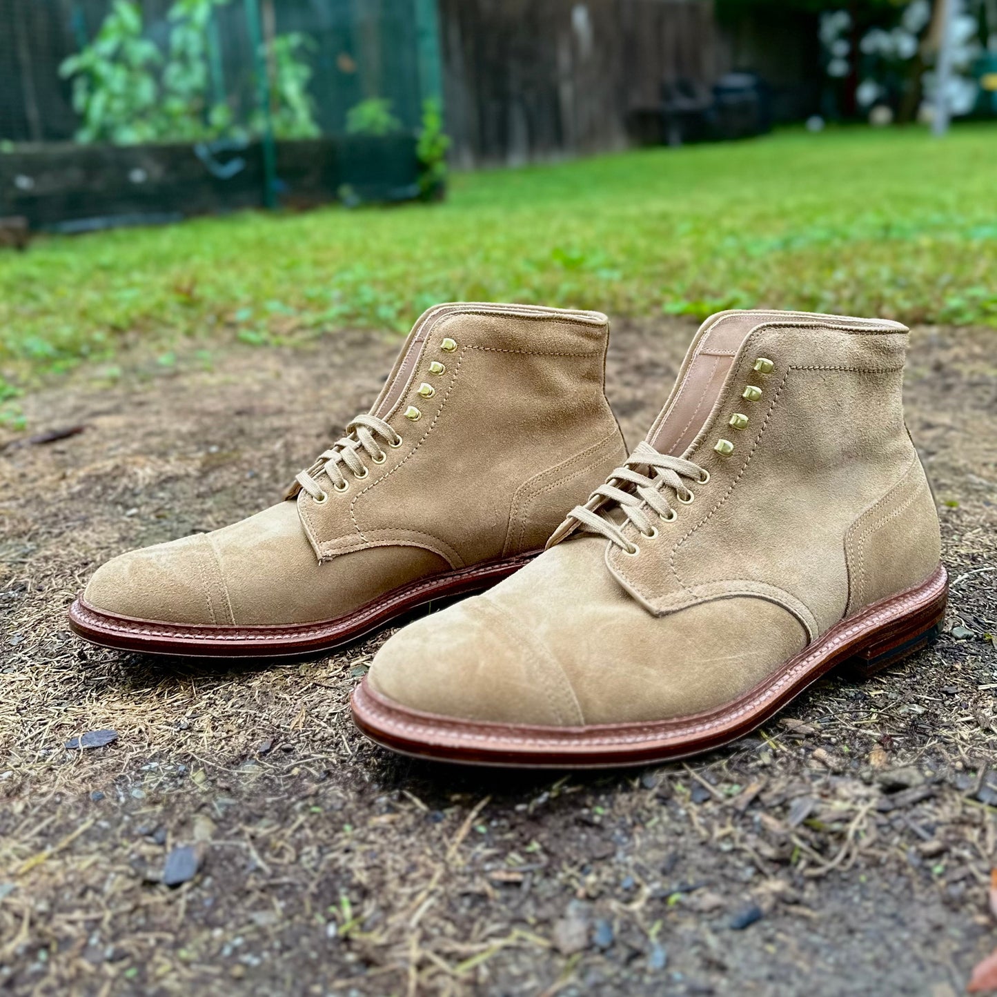 A pair of Alden Madison D2685H - 2/2 Cap Toe Boots in tan suede, featuring round toes and brass eyelets, rests on dirt outdoors. The lush green grass forms a vibrant blurred backdrop, enhancing the rugged charm of these classic lace-ups.
