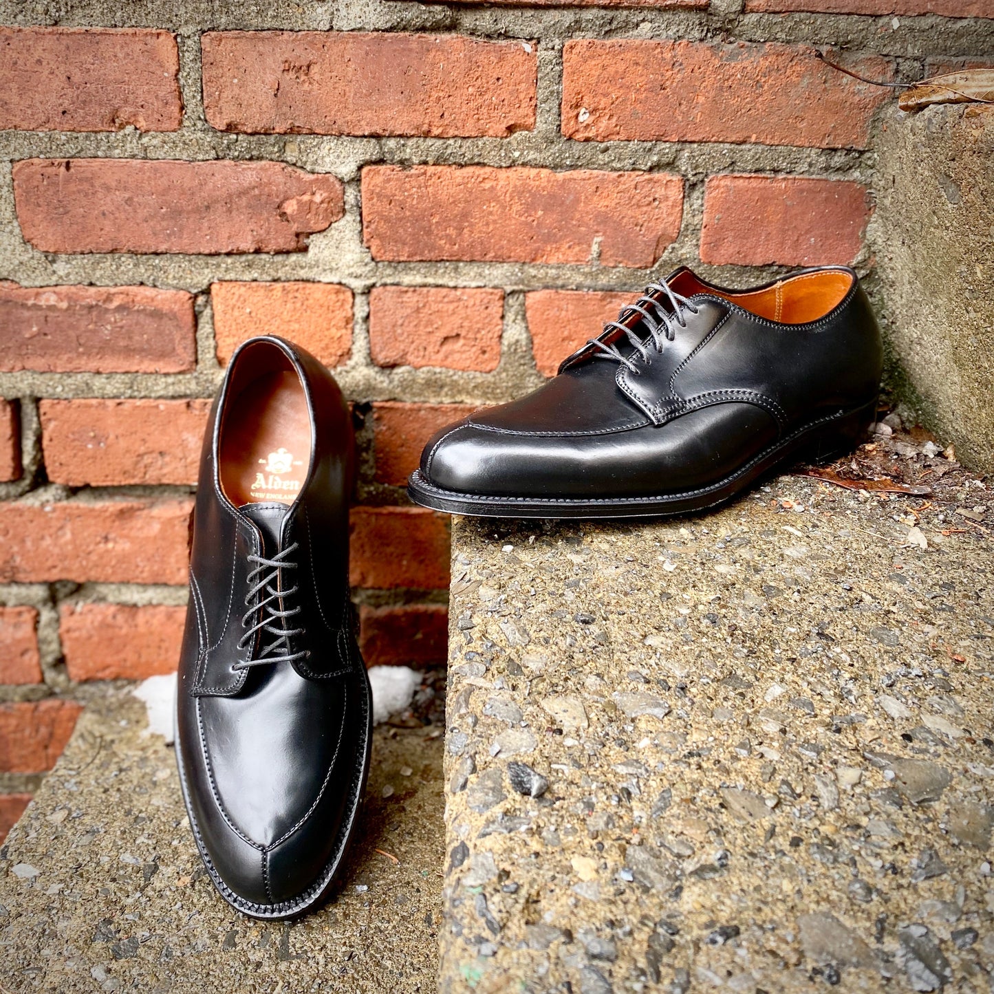 The Alden Madison D6617 - V-Tip Split Toe Blucher in Black Shell Cordovan is displayed on concrete steps by a red brick wall, with one shoe upright and the other leaning to show its tan lining.