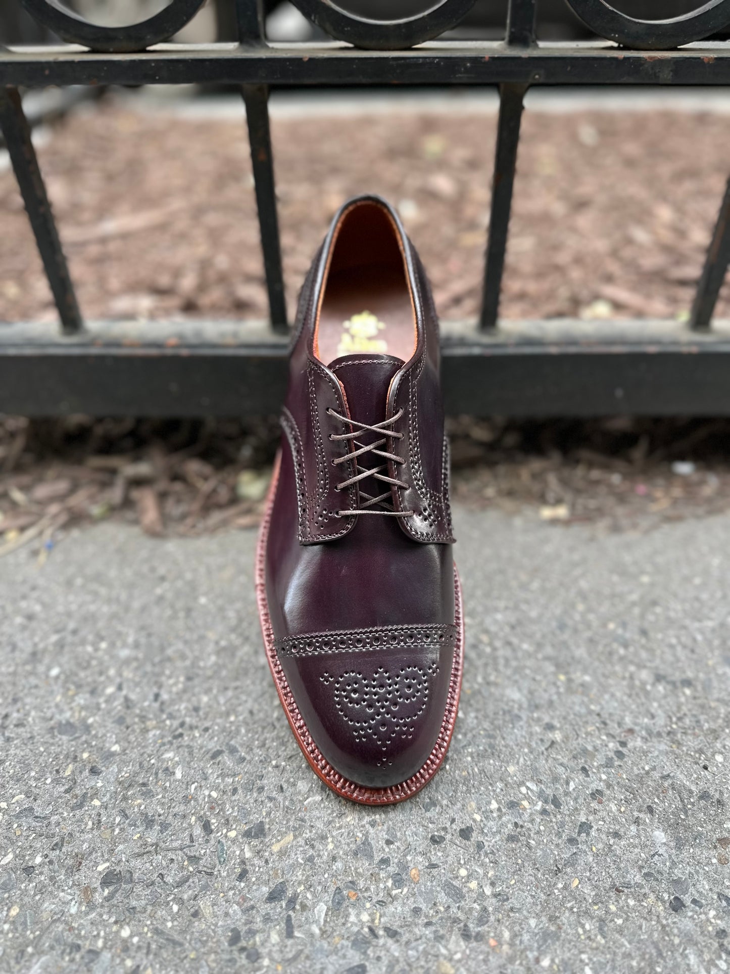 A polished Alden Madison 21522 - Medallion Cap Toe Blucher Color 8 dress shoe gleams on concrete, featuring a perforated pattern on the toe. The dark brown leather with brick-red stitching and neatly tied laces is stunning against a black metal fence.