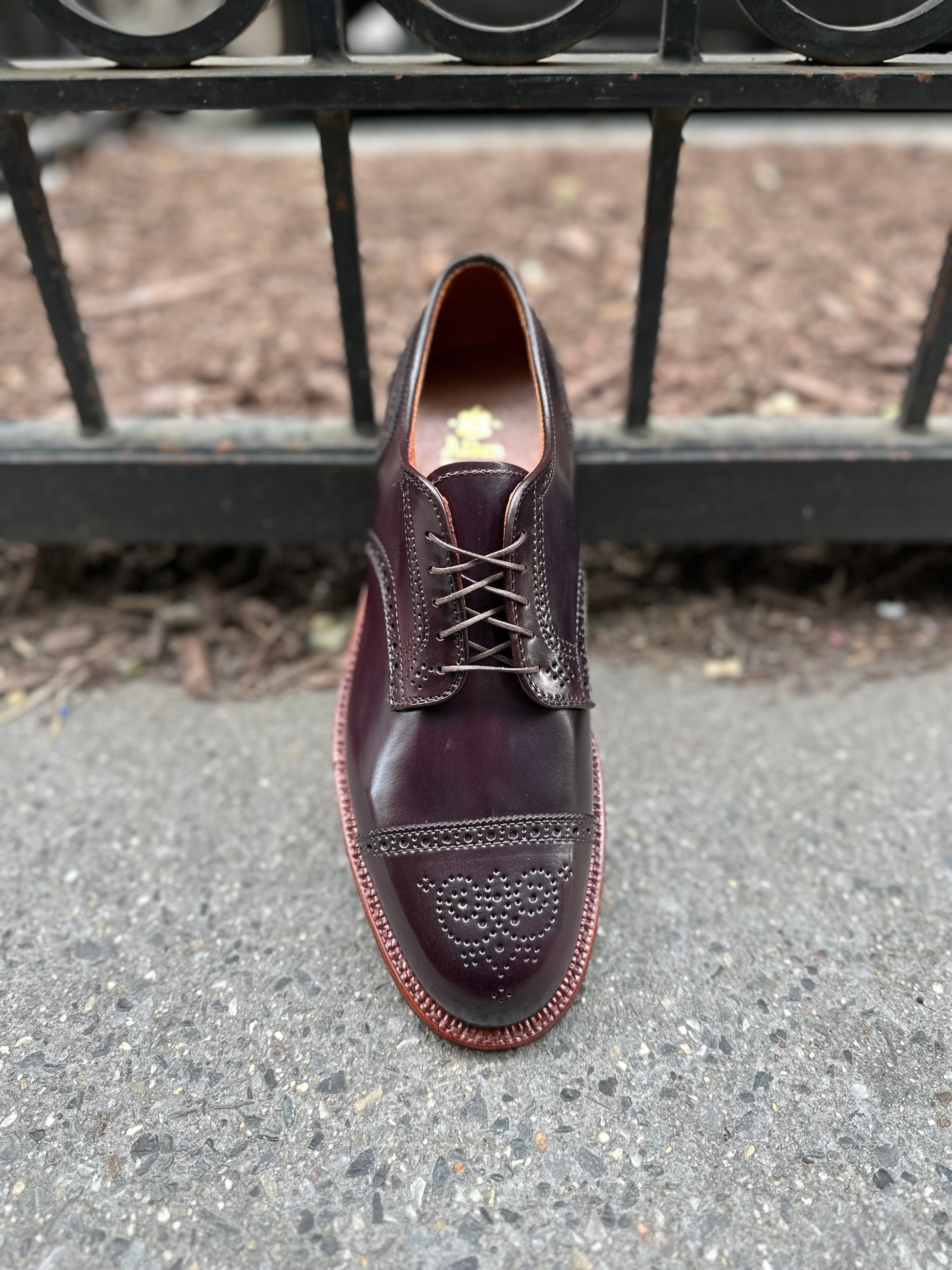 A polished Alden Madison 21522 - Medallion Cap Toe Blucher Color 8 dress shoe gleams on concrete, featuring a perforated pattern on the toe. The dark brown leather with brick-red stitching and neatly tied laces is stunning against a black metal fence.