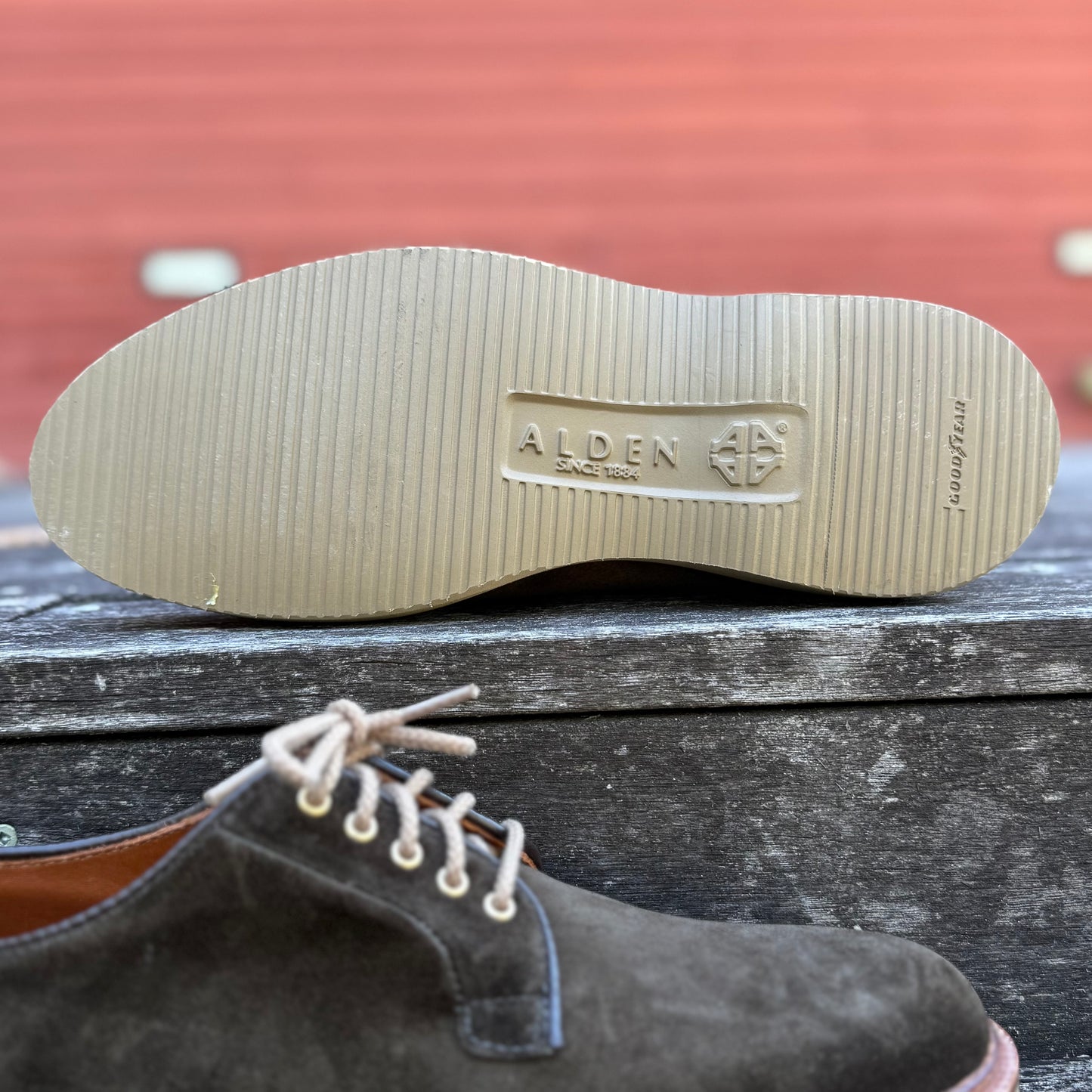 A close-up of the ALDEN SHOES D5426 - Loden Suede Plain Toe Blucher on its side highlights the beige ridged rubber sole embossed with ALDEN SINCE 1884, set against a blurred background with a red wall and white details.