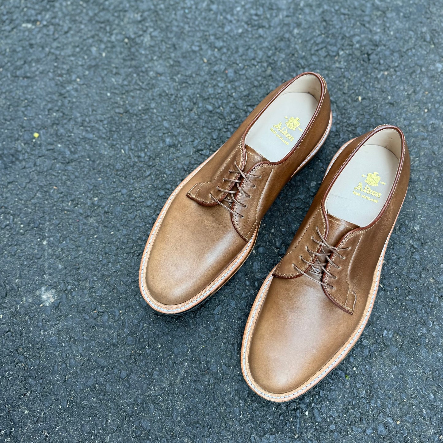A pair of ALDEN SHOES 9501C Natural Chromexcel Plain Toe Blucher dress shoes with laces are positioned side by side on a dark textured asphalt surface.