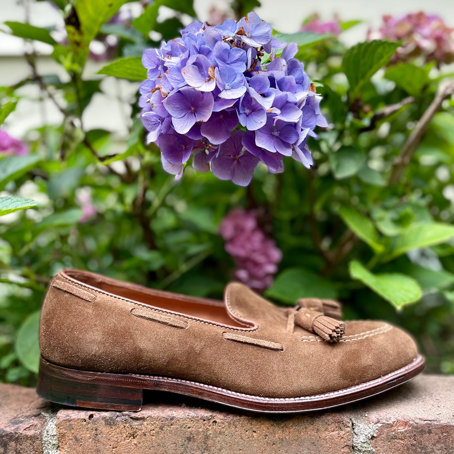 The Alden Madison 3403 - Tassel Loafer in Snuff Suede, crafted on the Aberdeen Last, rests elegantly on a brick ledge with tassels, set against blooming purple hydrangeas and lush leaves, emphasizing its elegance and leather sole in contrast to the vibrant natural backdrop.