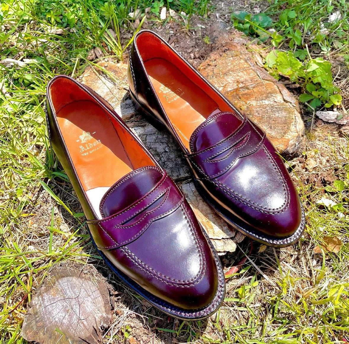 The Alden Madison 684 - Full Strap Loafer in Color 8 Shell Cordovan is showcased outdoors on a tree stump, gleaming in the sunlight and surrounded by lush green grass.