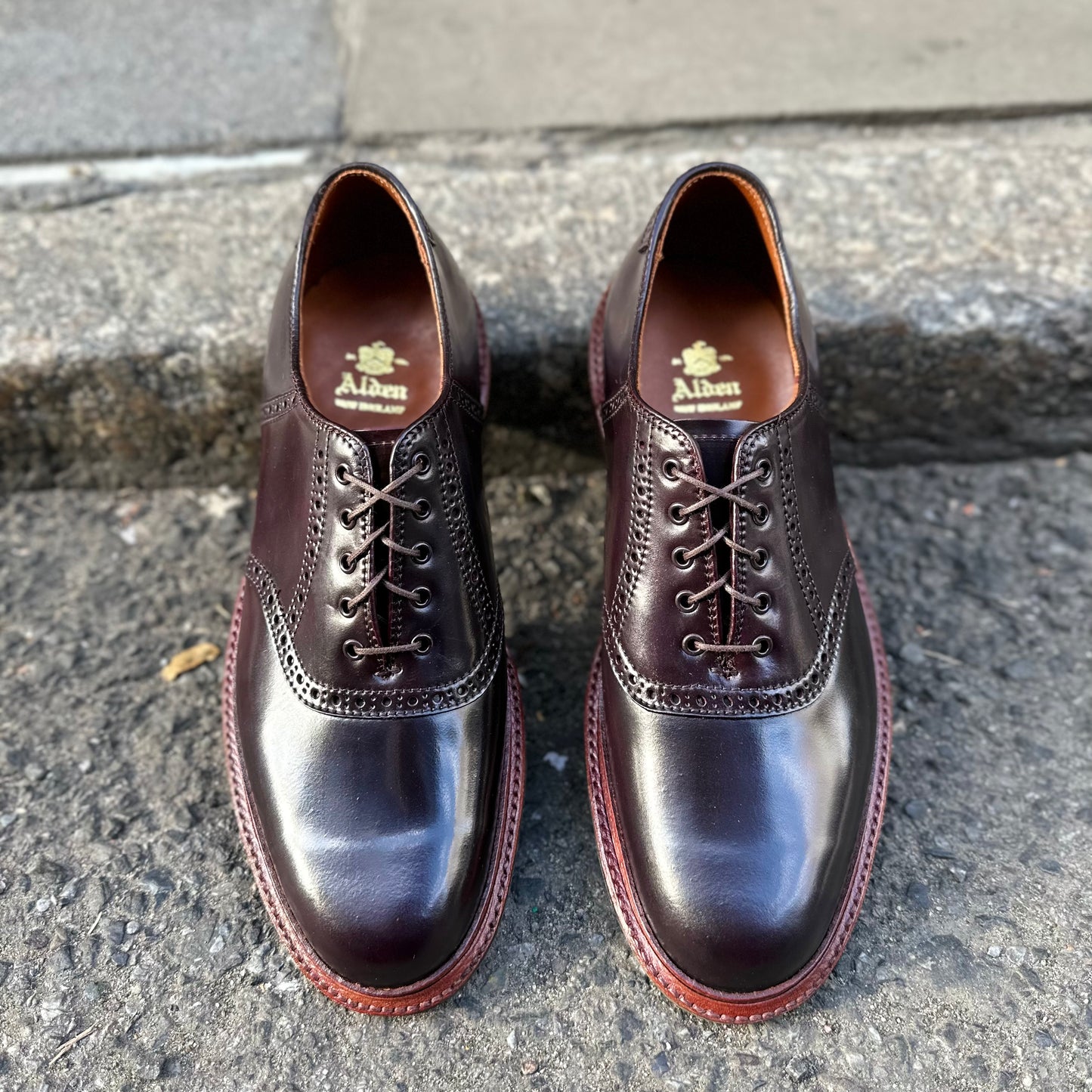 D2305C - Saddle Oxford in Color 8 Shell Cordovan