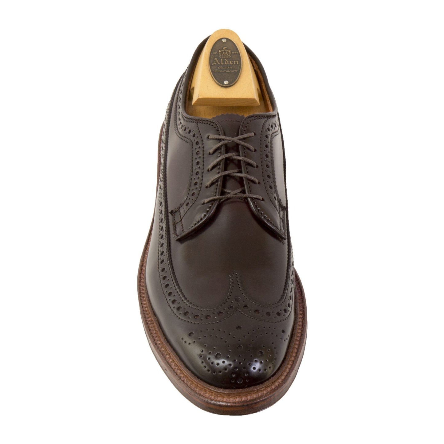 D5511 - Antique Long Wing in Color 8 Shell Cordovan (Deposit)