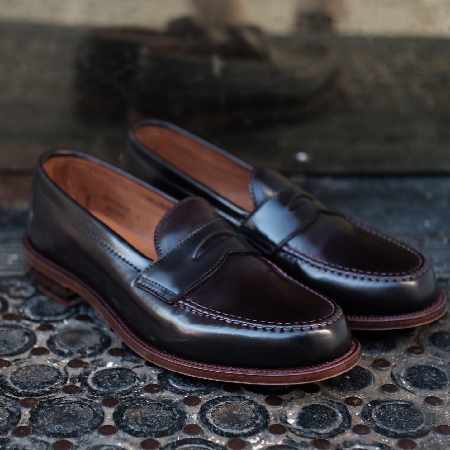 D6207 - Antique LHS in Color 8 Shell