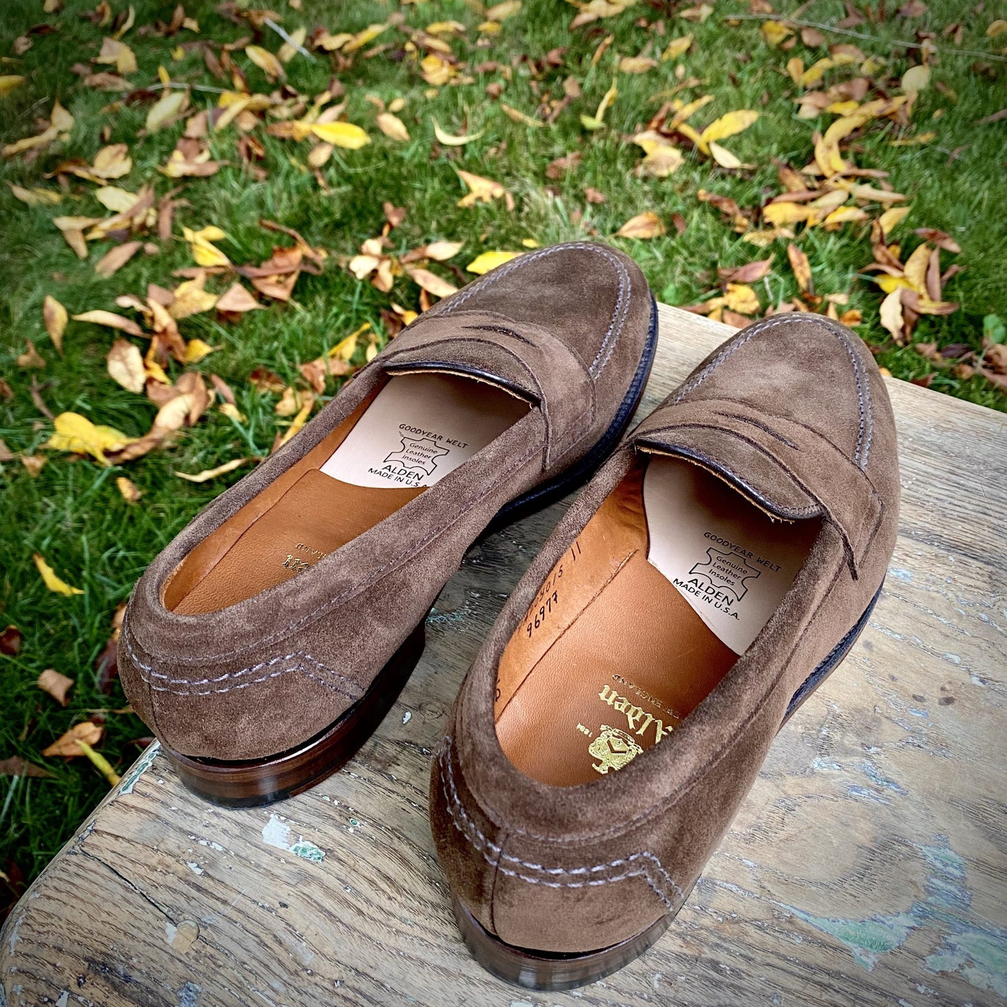 A pair of Alden Madisons 9697F Flex Penny Loafers in brown suede, featuring stitching details and a flexible leather sole, rests on a wooden surface outdoors. Yellow and brown leaves against the grassy background evoke an autumn setting.