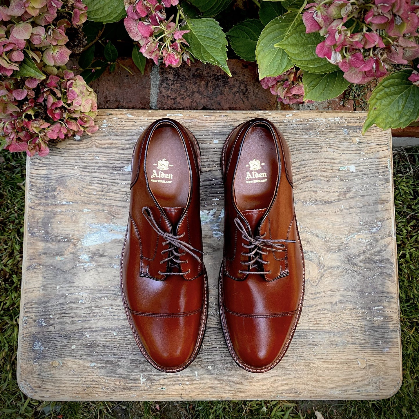 A pair of D9539C - Ten to One DeRosa Blucher in Madison Brown Calfskin by Alden Madison, featuring laces and a sleek cap toe blucher design, rests on a weathered wooden surface. Pink and green hydrangeas frame the top corners, adding elegance to the scene.