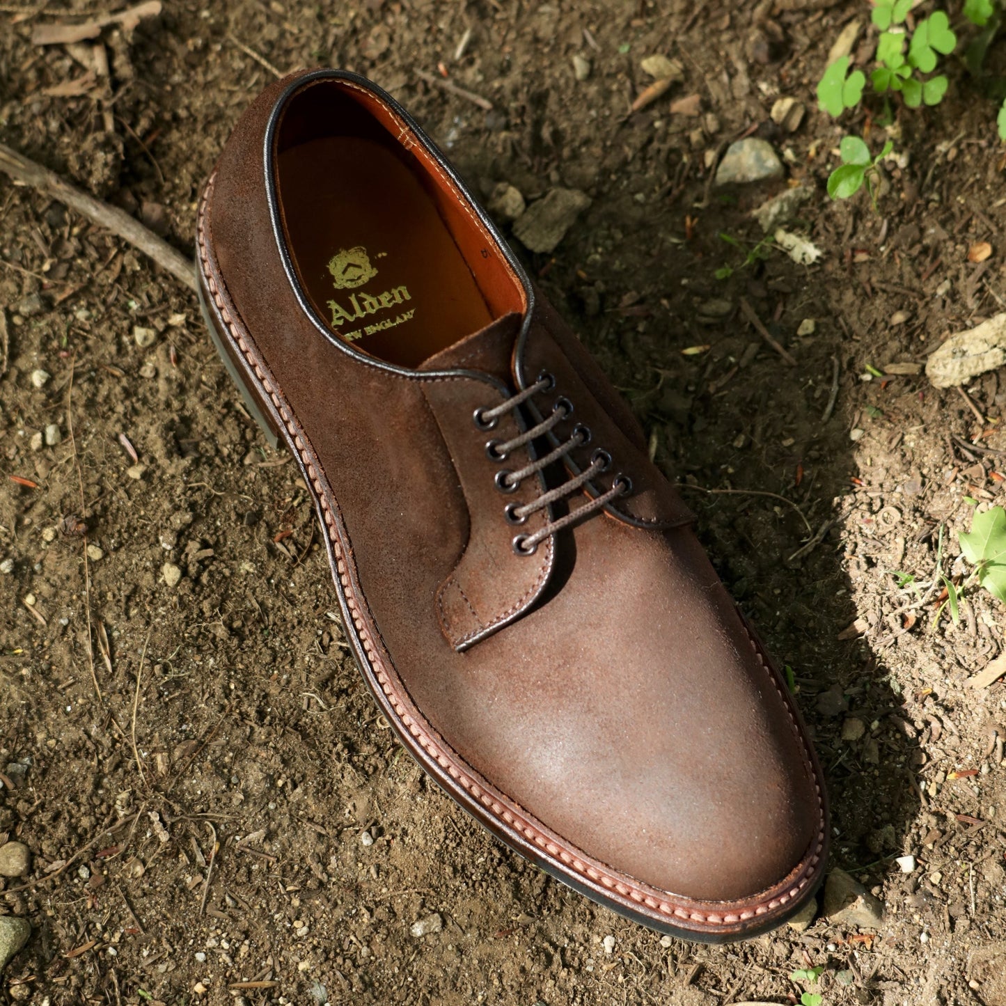 The Alden Madison 9474C Plain Toe Blucher in Tobacco Reverse Chamois rests on dirt among green plants and rocks. Crafted on the Barrie Last, this brown leather lace-up features the Alden logo printed inside.