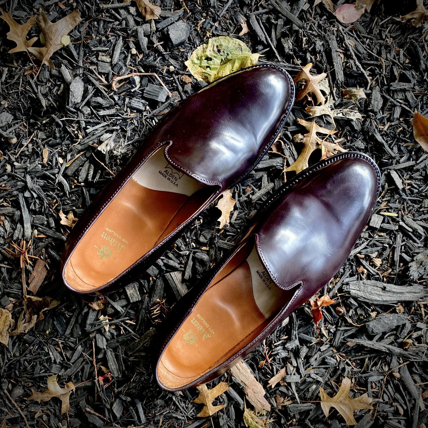 A pair of Alden Madisons 8818 - Plain Toe Slip On in Color 8 Shell, resembling dark brown leather loafers with a glossy finish, crafted in the elegant Aberdeen Last style, sits on wood chips and fallen leaves.
