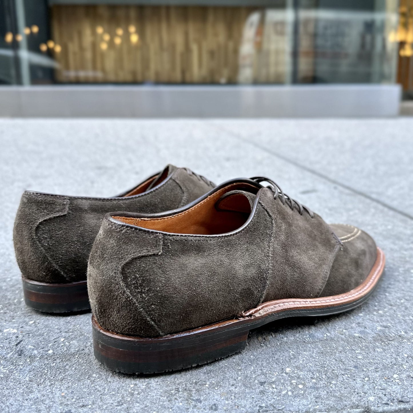 D1655L - Saddle Blucher in Loden Suede