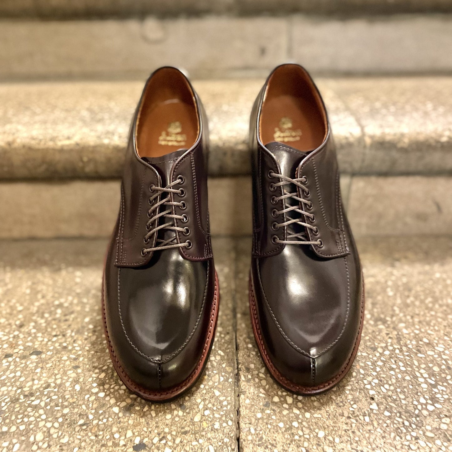 A pair of Alden Madison D1629C V Tip Split Toe Blucher in Color 8 Shell, polished dark brown with laces, rests on stone steps. The sleek design and rich shine contrast beautifully with the textured background.