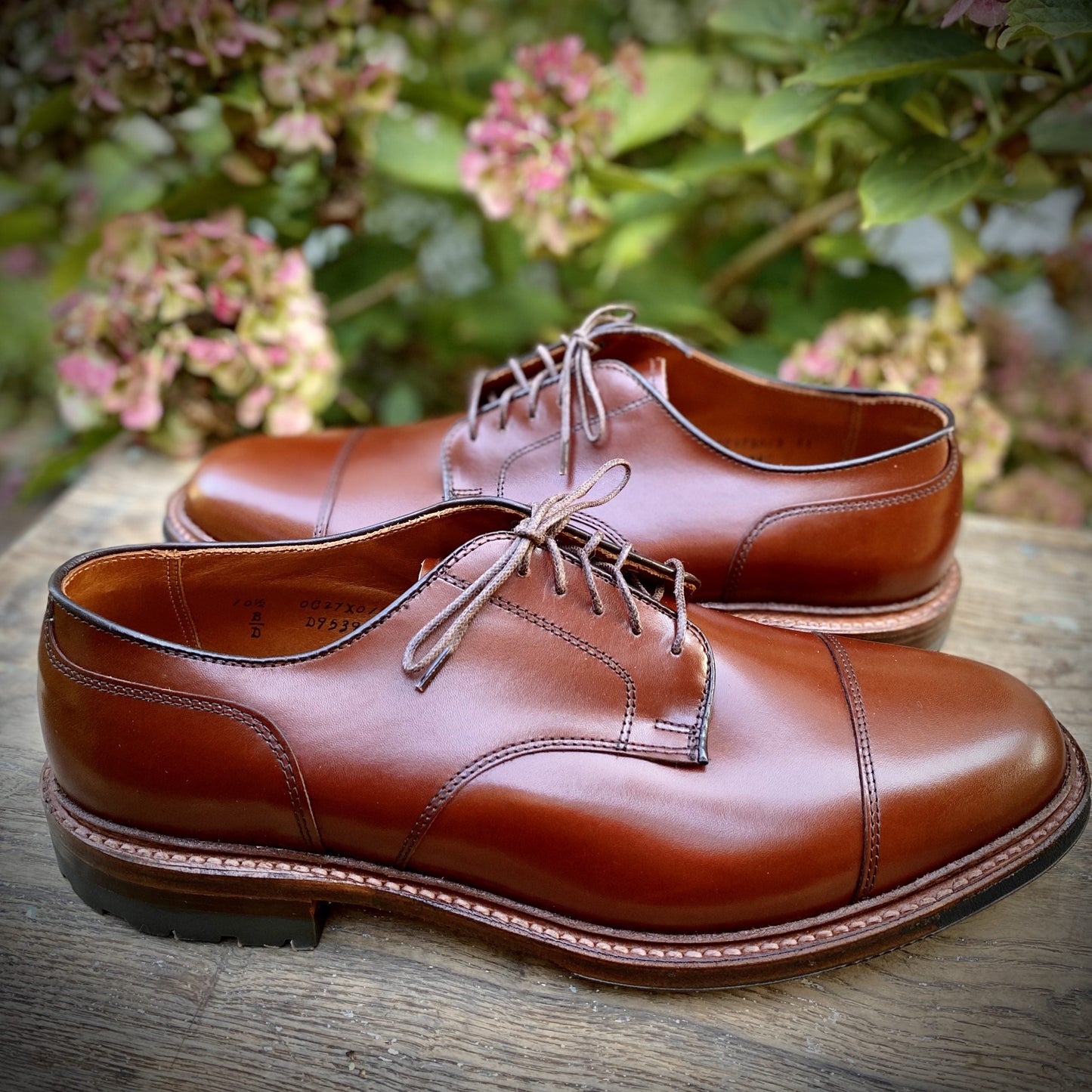 A pair of Alden Madison Ten to One DeRosa Blucher dress shoes in Madison Brown Calfskin with laces and a Cap Toe design sits on a wooden surface. Green leaves and pink flowers create a slightly blurred background.
