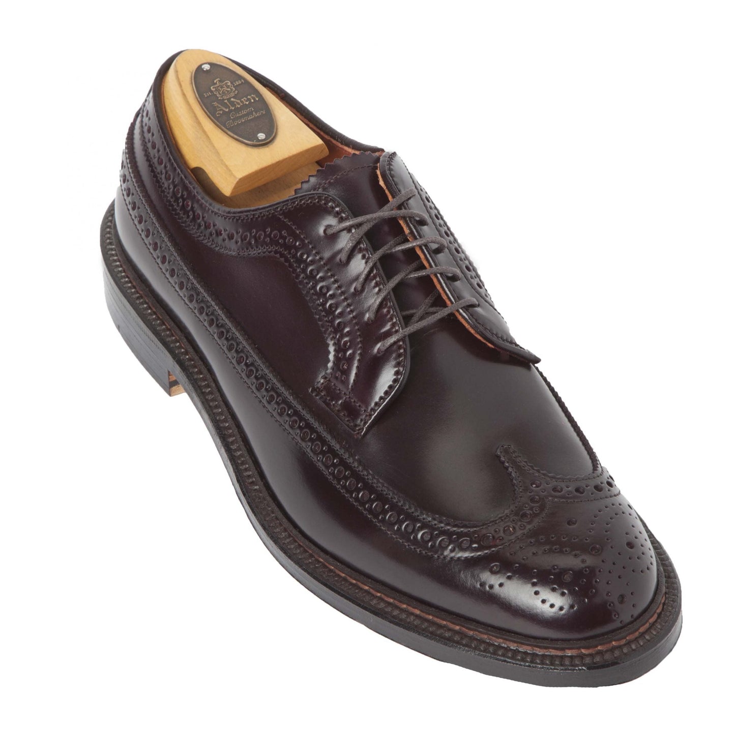The Alden Madison 975 - Long Wing Blucher in Color 8 Shell Cordovan is shown as a single dark brown wingtip shoe with brogue detailing, crafted on the Barrie Last with a Double Oak Leather Sole and wooden shoe tree inside, featuring round brown laces against a white background.