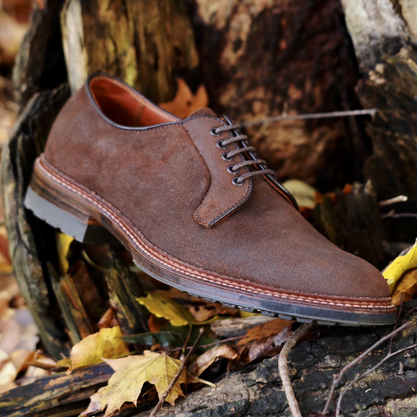 The Alden Madison 9474C Plain Toe Blucher in Tobacco Reverse Chamois rests outdoors on tree branches, surrounded by autumn leaves, highlighting its sturdy Commando Sole.