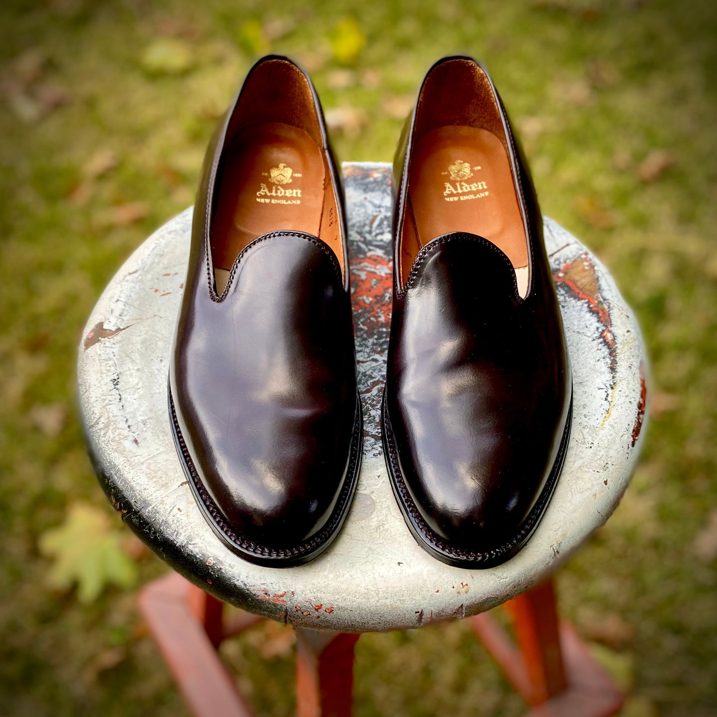 A pair of Alden Madison 8818 - Plain Toe Slip On loafers in Color 8 Shell Cordovan rests on a weathered round metal stool outdoors, with grass and scattered leaves in the background.