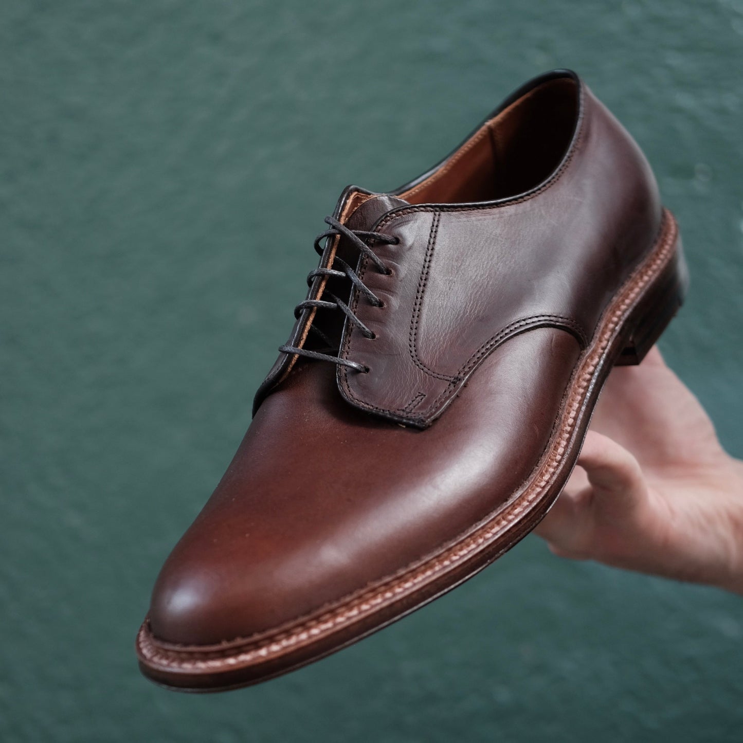 A hand displays the Alden Madison 29364F - Unlined Plain Toe Dover in Brown Chromexcel, featuring dark laces and a stitched leather sole, set against a plain green background.