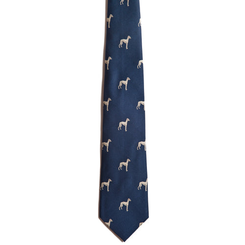Whippet