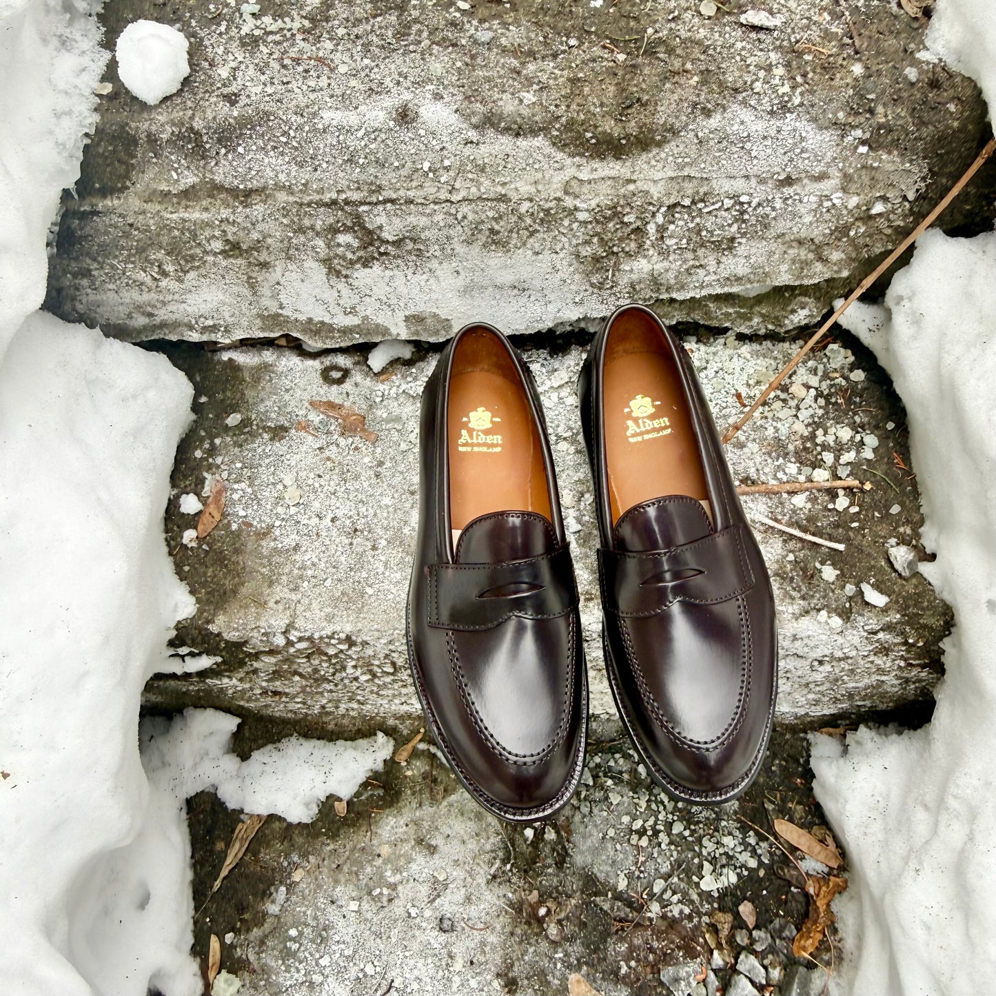 A pair of ALDEN SHOES 96948 - Copley Penny Loafer in Color 8 Shell, displayed side by side on stone steps outdoors with patches of snow.