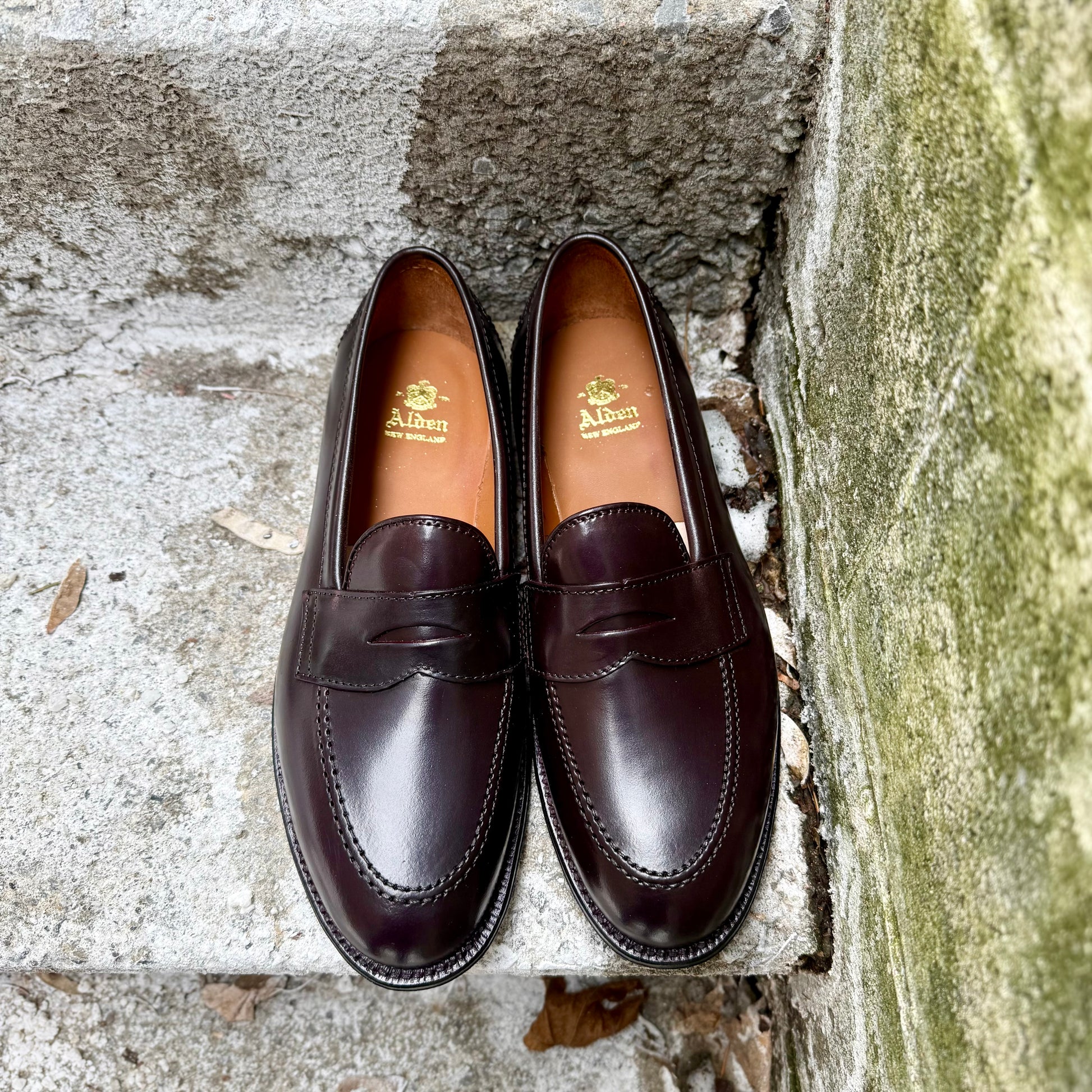 A pair of ALDEN SHOES 96948 Copley Penny Loafers in Color 8 Shell, with classic leather soles and gold “Alden” branding, rest side by side on a weathered stone step beside a mossy wall, showcasing visible stitching.