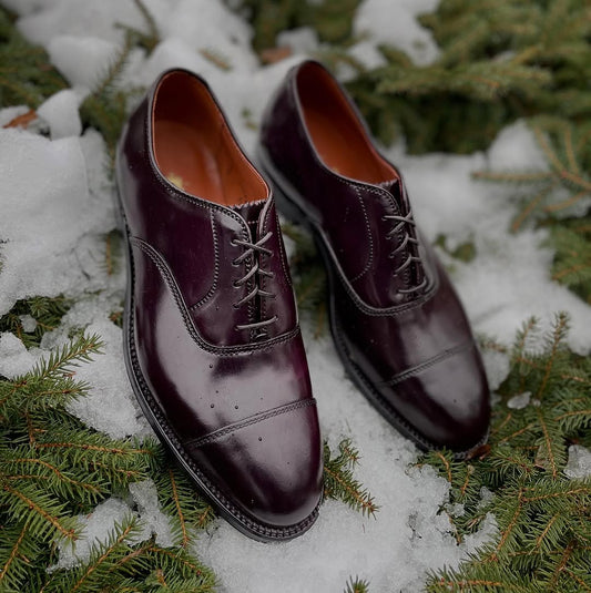 Alden Madison’s 9070 - Straight Tip Bal in Color 8 Shell Cordovan, featuring laces and a classic leather sole, rests atop green pine branches dusted with snow.
