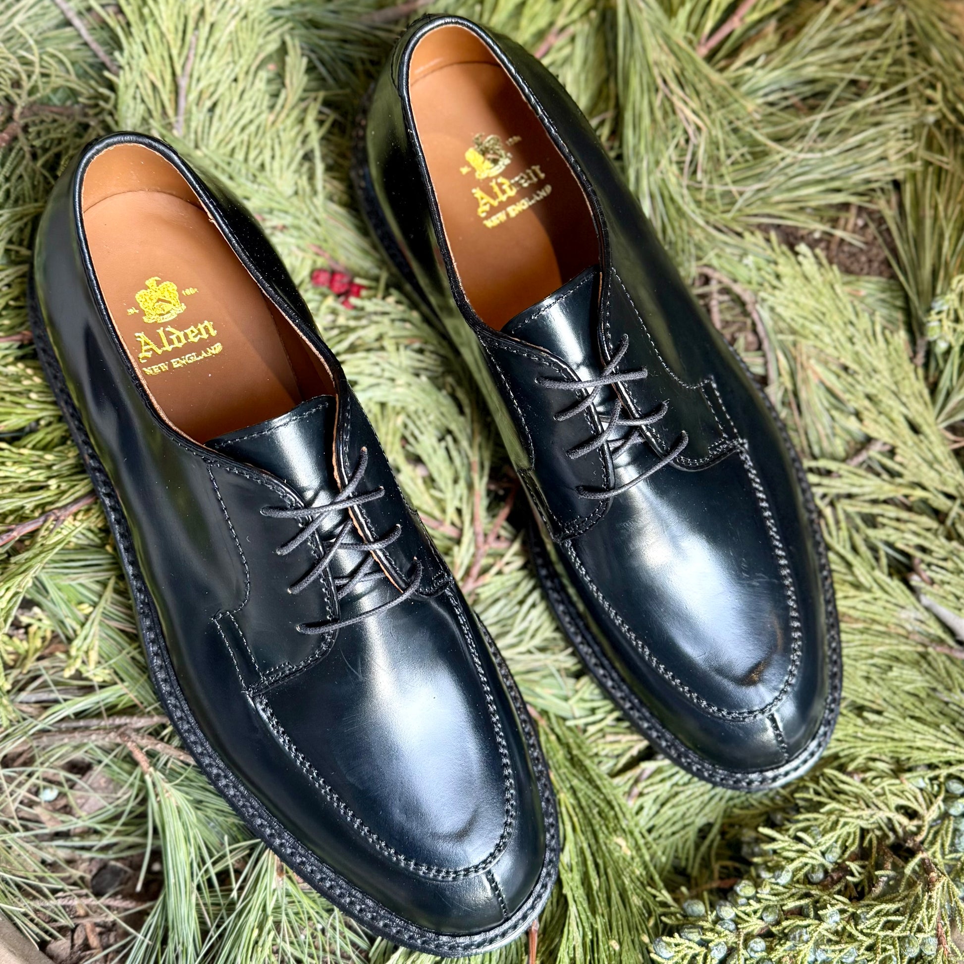 A pair of ALDEN SHOES D4604C “Borough” black shell cordovan moc toe blucher dress shoes with laces rest on green pine needles. Tan interiors feature gold Alden New England branding.