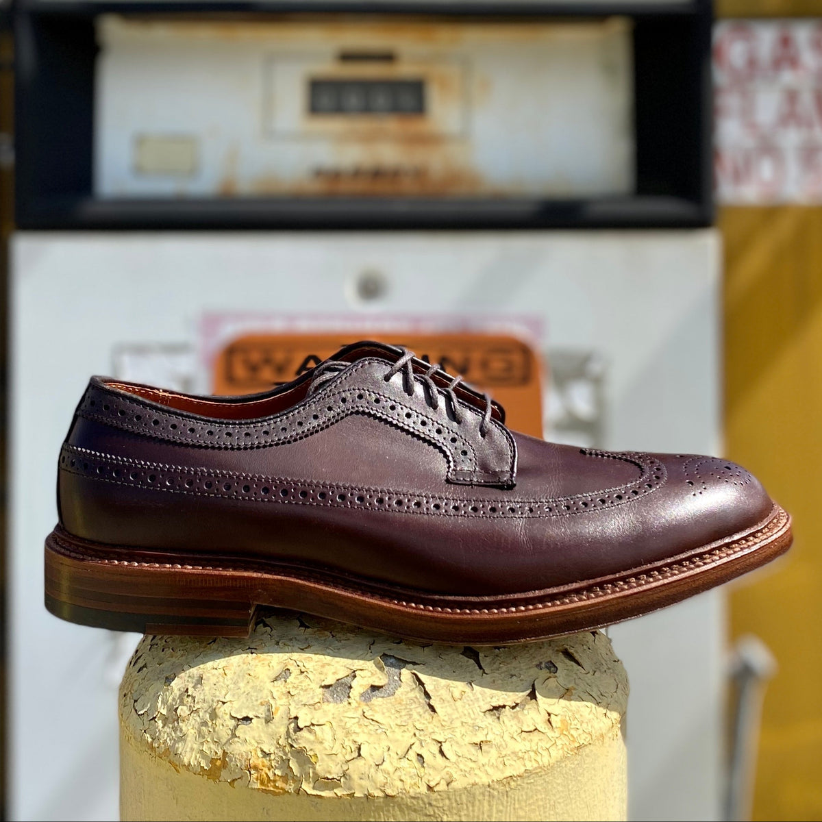976 - Long Wing Blucher in Brown Calfskin – ALDEN SHOES display picture 1