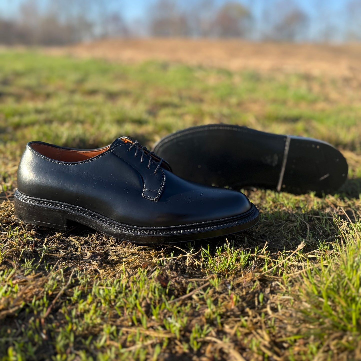 A pair of ALDEN SHOES 9909 - Black Calfskin Plain Toe Bluchers sits on green grass outdoors, one upright and one on its side showing the sole, with a blurred background highlighting the elegant design.