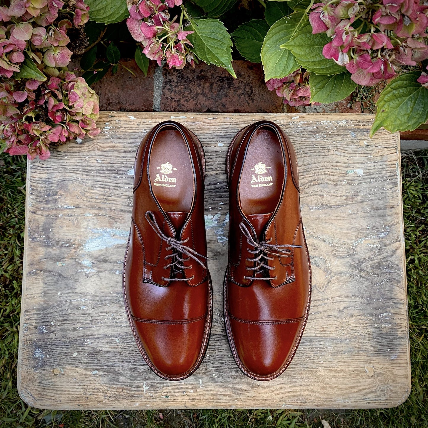 D9539C - "Ten to One" Blucher in Madison Brown Calf (Deposit)