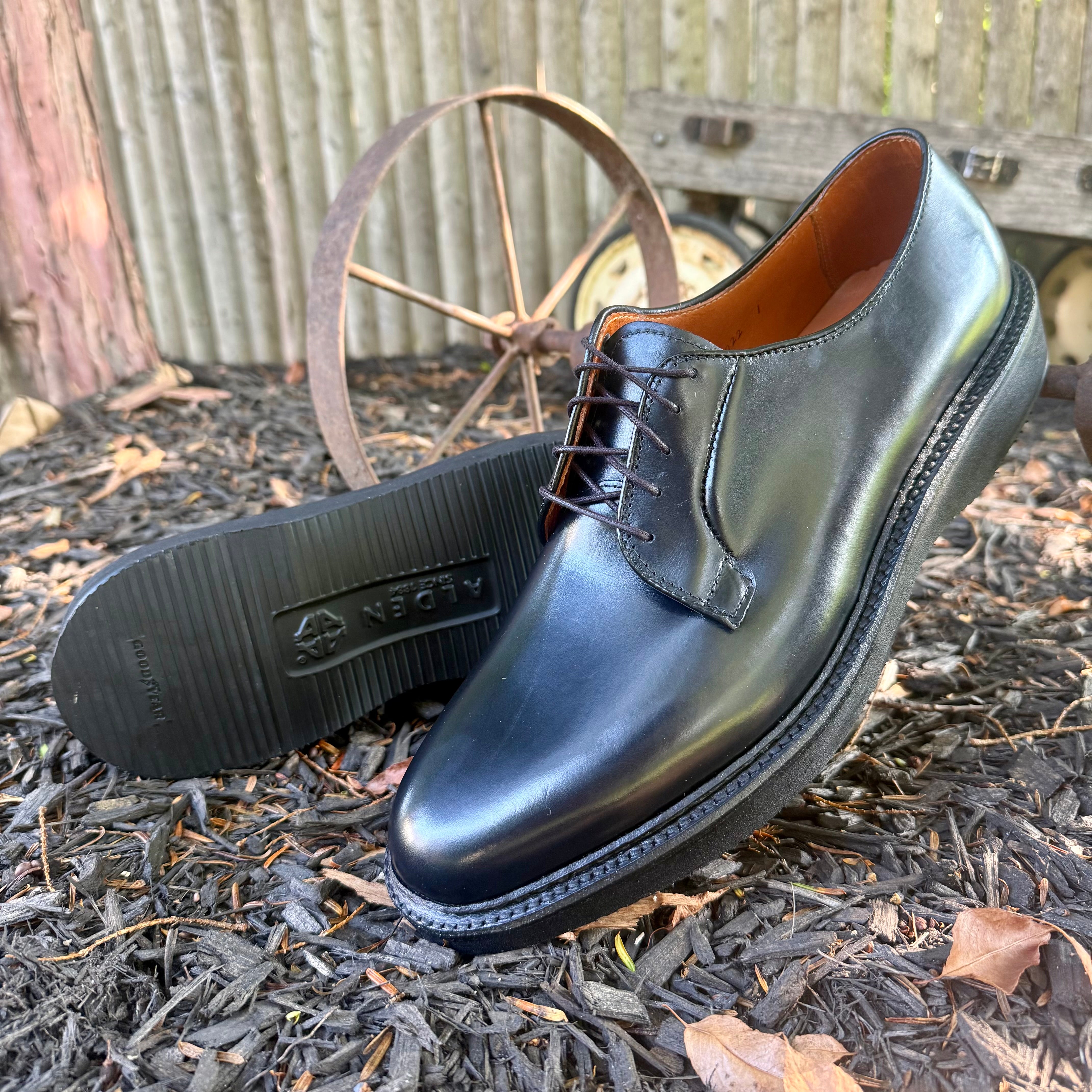 N1401- Black Calf Plain Toe Blucher w Wedge Sole – ALDEN SHOES