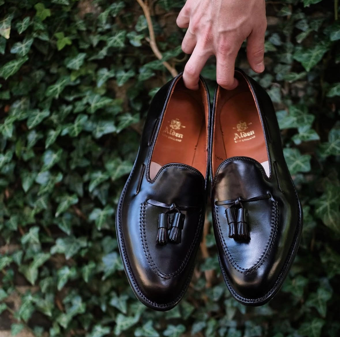 A hand holds the Alden Madison 664 Tassel Loafer in Black Shell Cordovan, crafted on the Aberdeen Last, with gold-branded insoles, set against green ivy leaves.