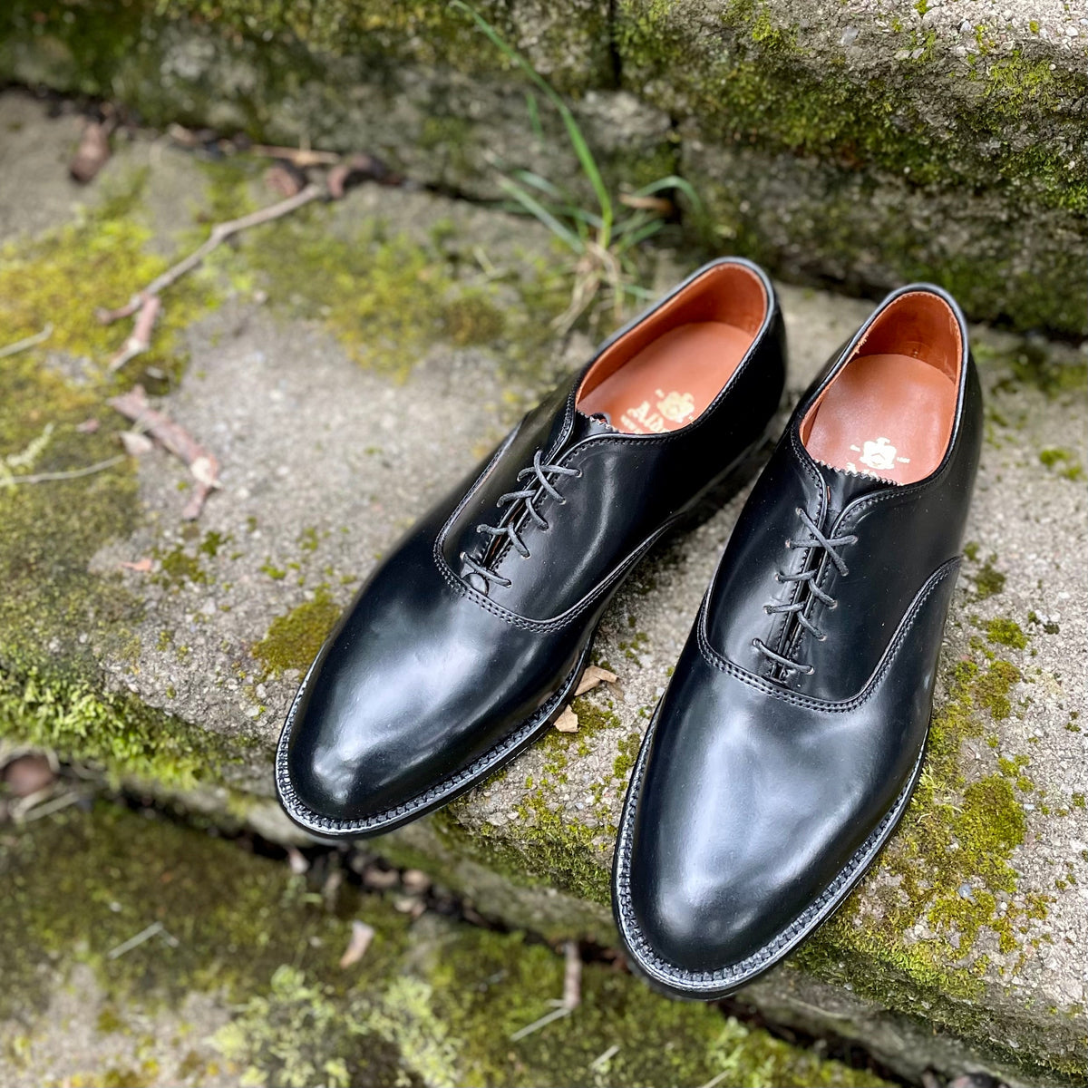 9341 - Plain Toe Bal in Black Shell Cordovan – ALDEN SHOES display picture 2