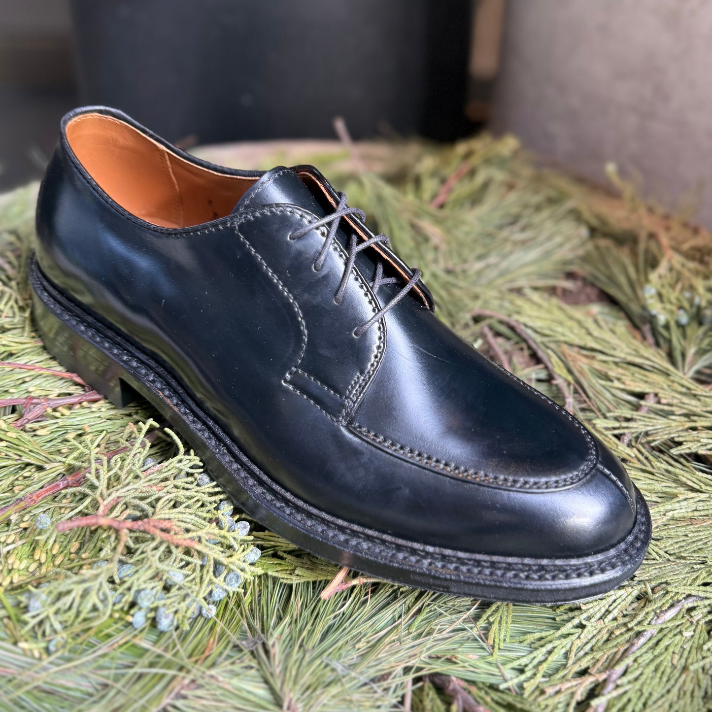 The ALDEN SHOES D4604C - Moc Toe “Borough” Blucher in black shell features visible stitching and a brown interior, shown as a single shoe resting on green pine branches.