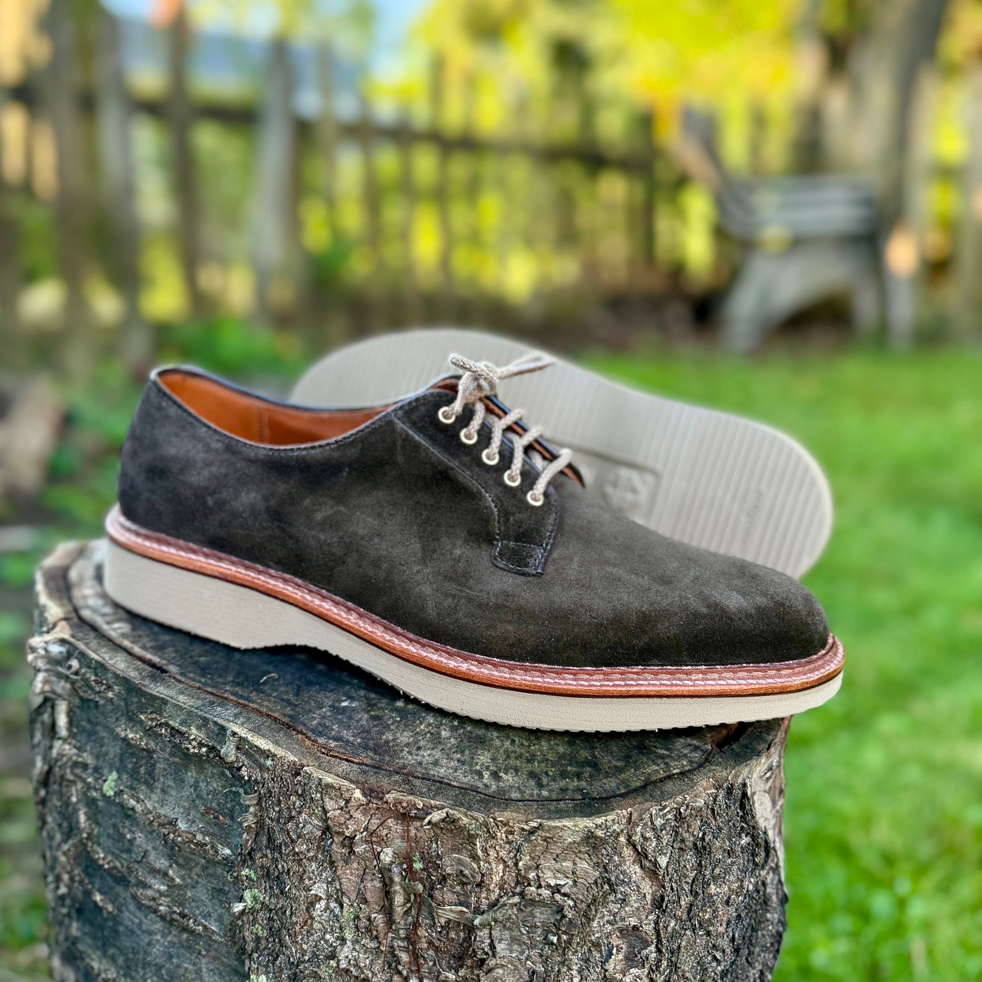 The ALDEN SHOES D5426 - Loden Suede Plain Toe Blucher in black, featuring white soles and beige laces, is displayed on a tree stump outdoors with blurred green grass and a wooden fence in the background.