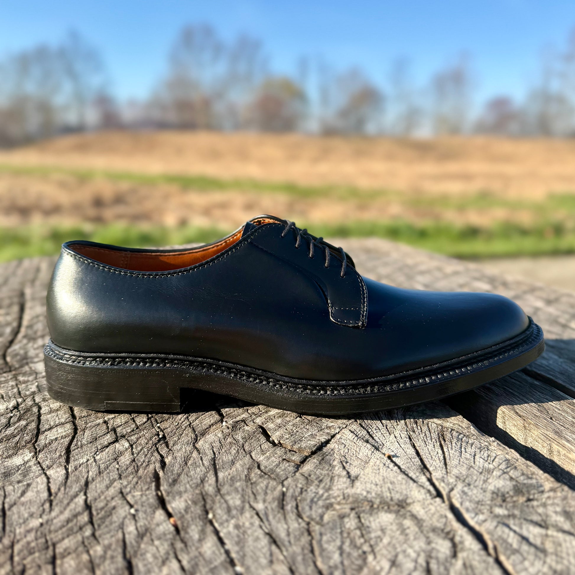The ALDEN SHOES 9909 - Black Calfskin Plain Toe Blucher, crafted from premium black calfskin, rests on a textured tree stump outdoors with fields and trees blurred in the background under a clear blue sky.