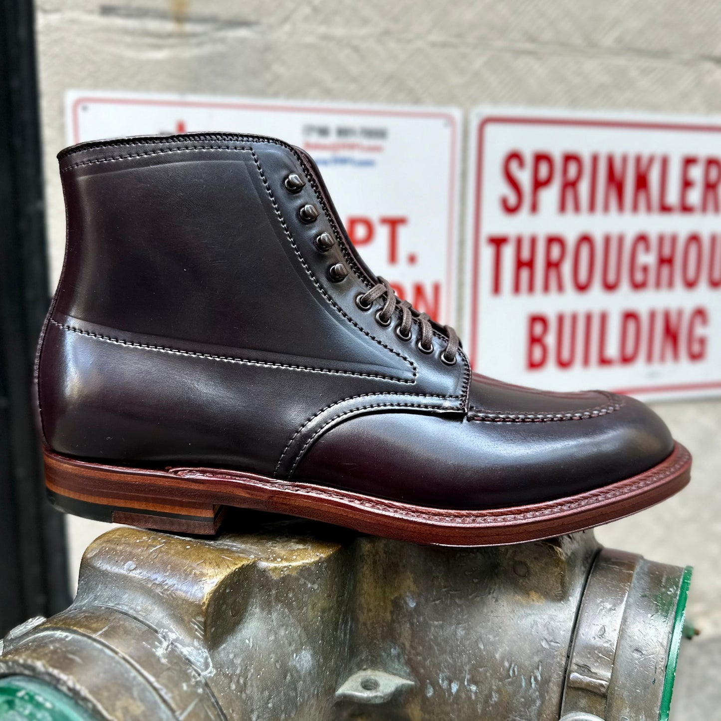 D2936H - Color 8 Shell Indy Boot